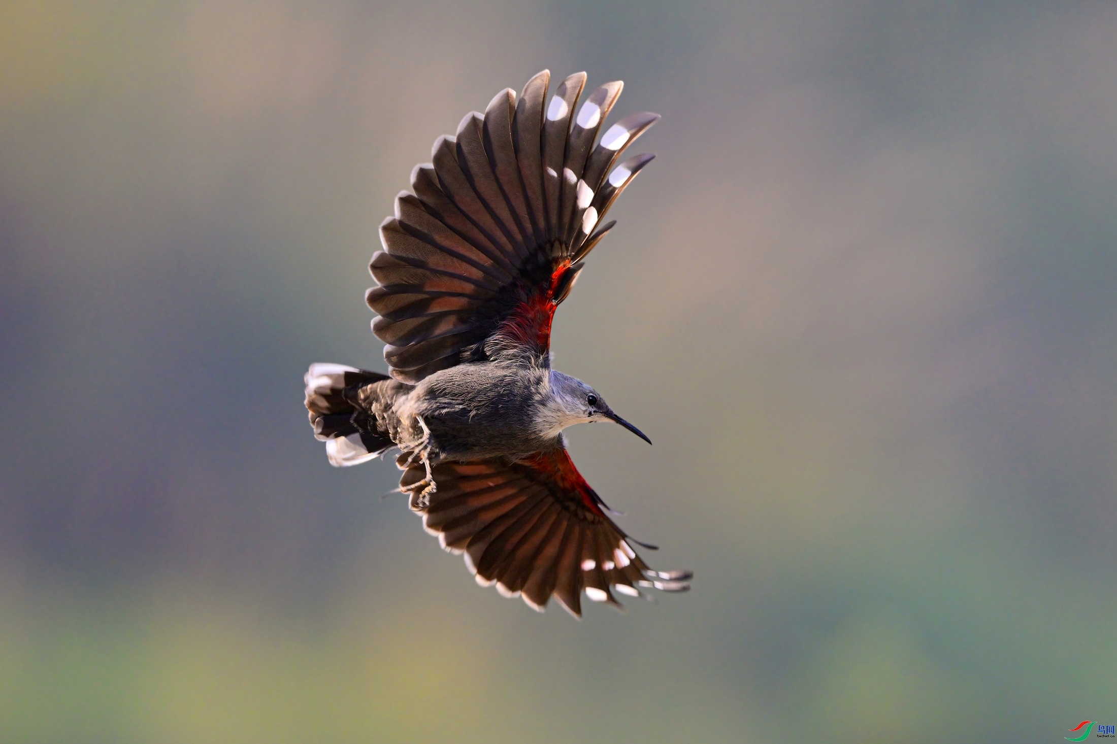 ��������������  ���� �������-����  ����.jpg