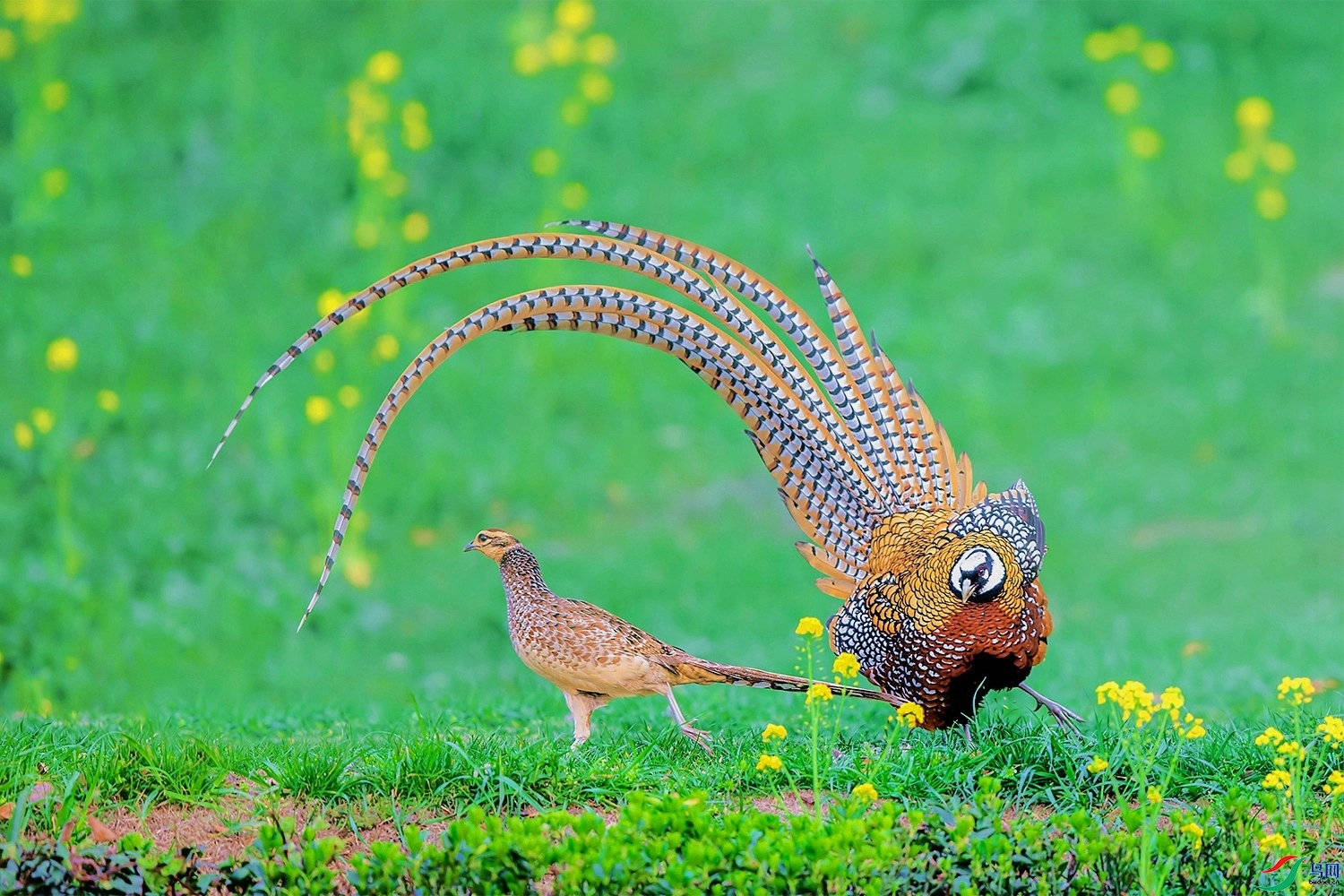 �޴����� ���� ͧ�� ����.jpg