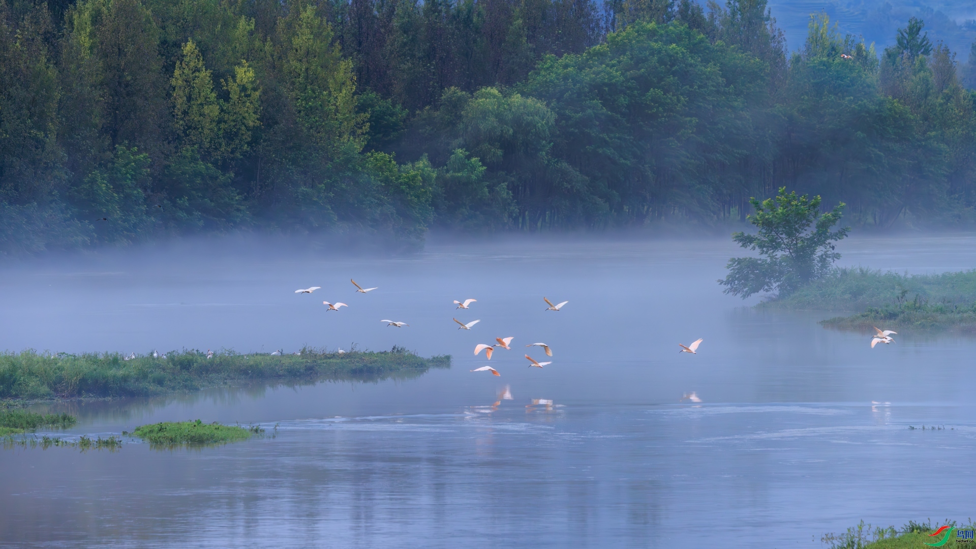 ���￴�q  ���� ������  ����.jpg