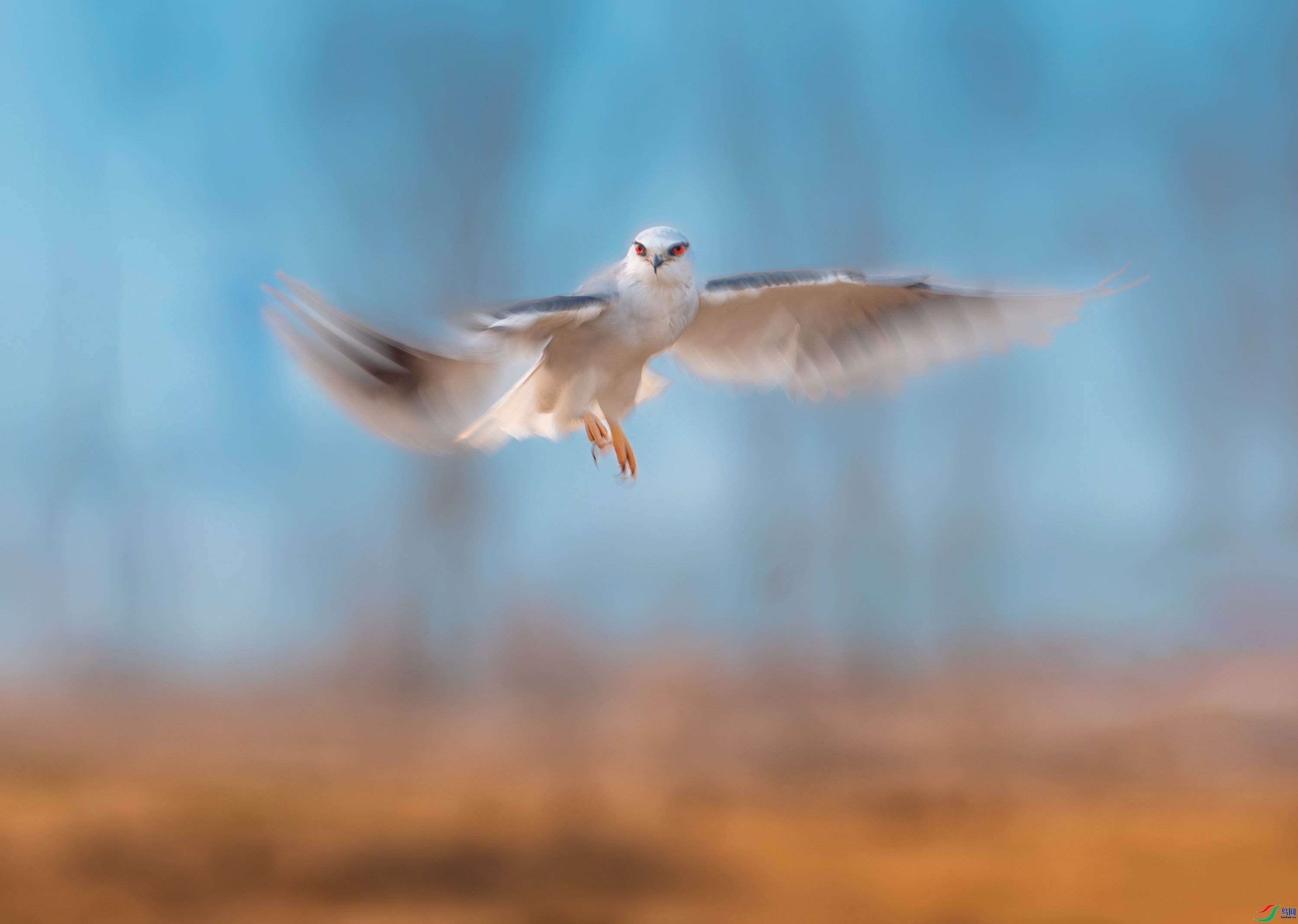 ����  ���� ��Ϳ�ֺ�Ϳ ����.jpeg