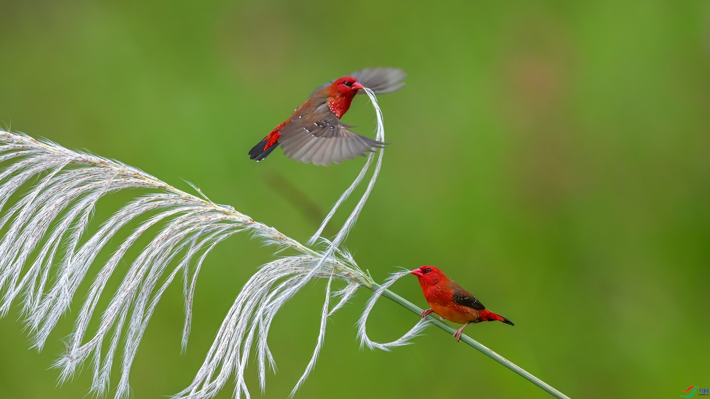 ��̨��  ���� ������ͷ ����.jpg