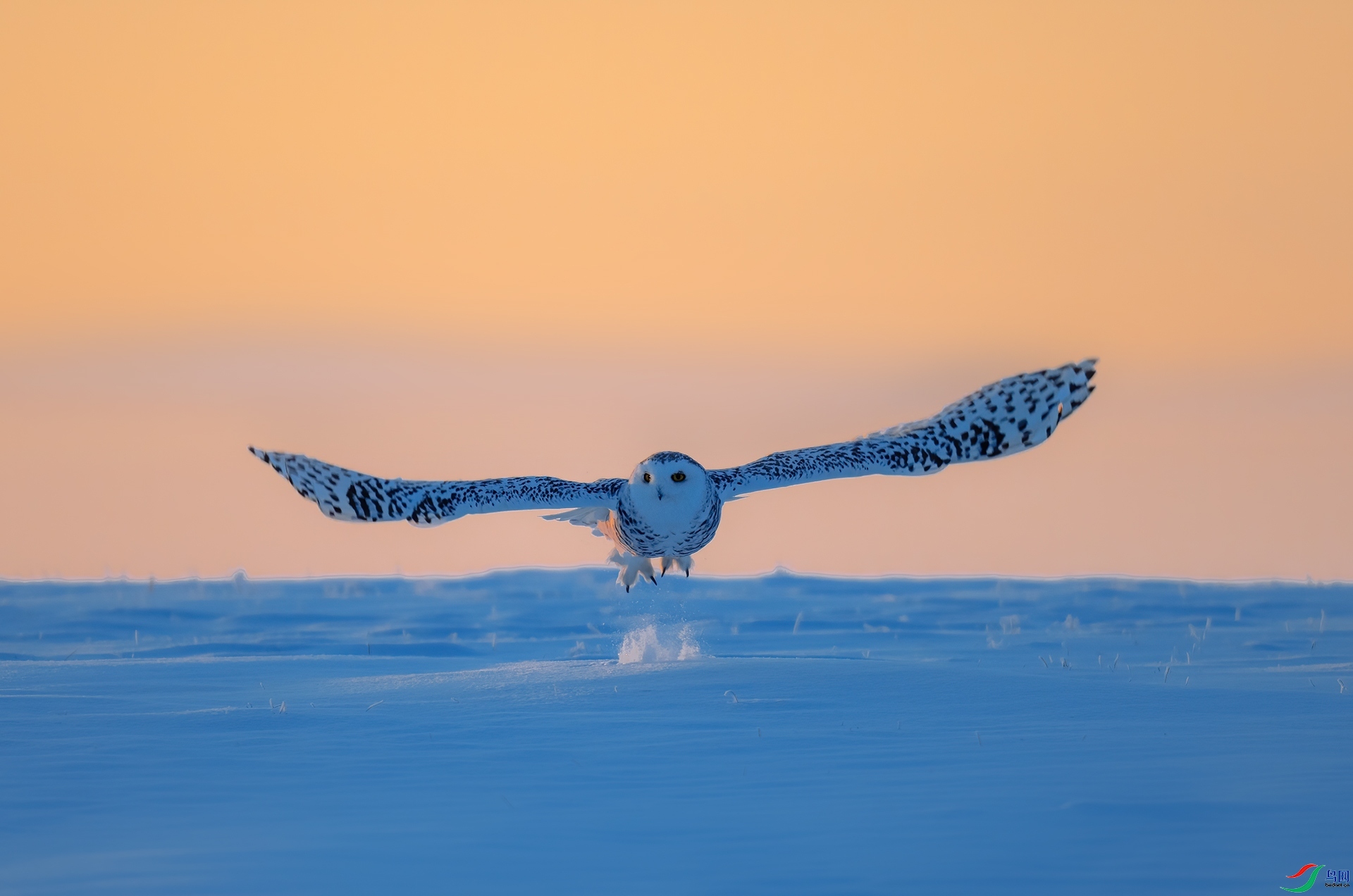 ��� ���� �������� ����.jpg