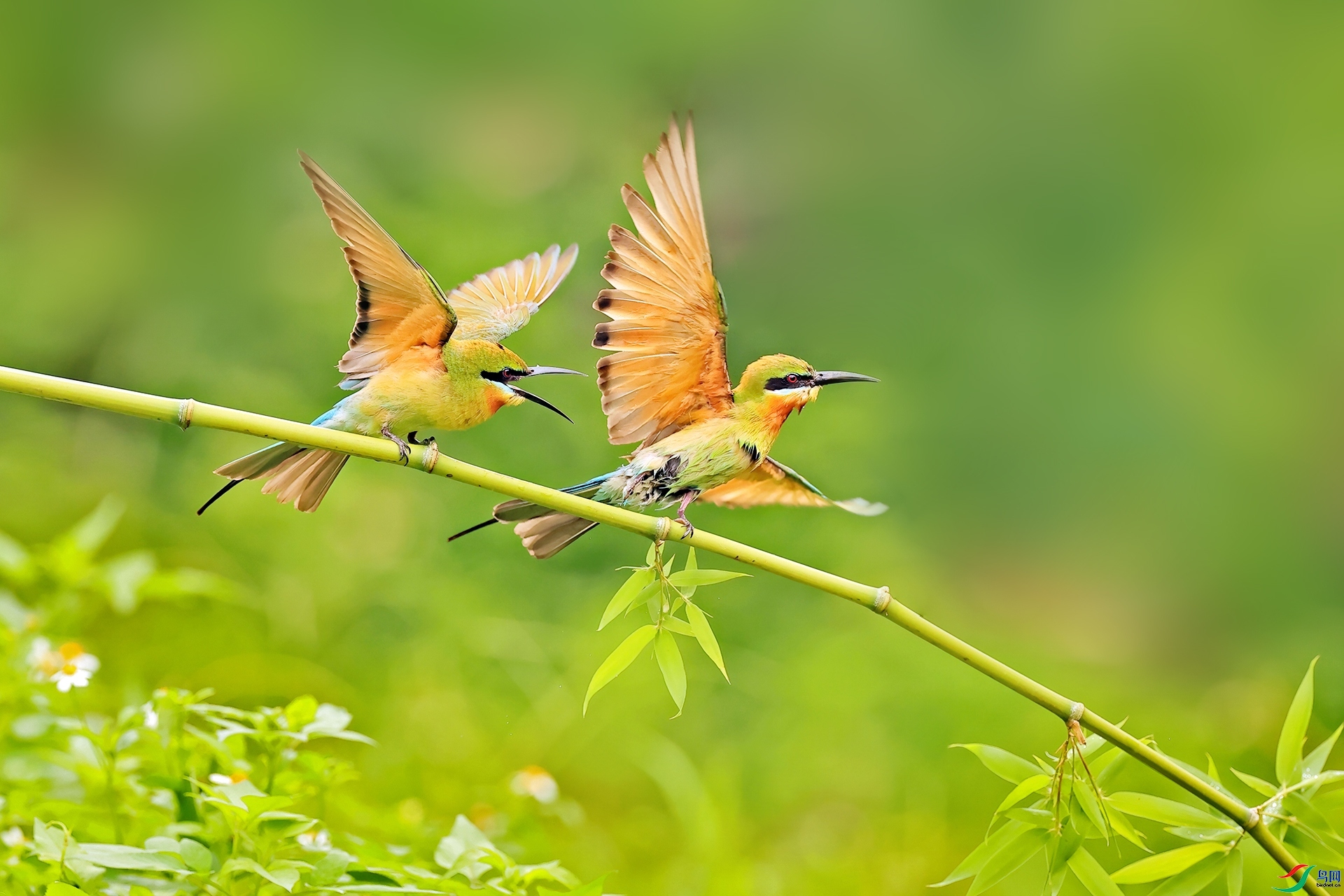 ���� ���� ������ ����.jpg