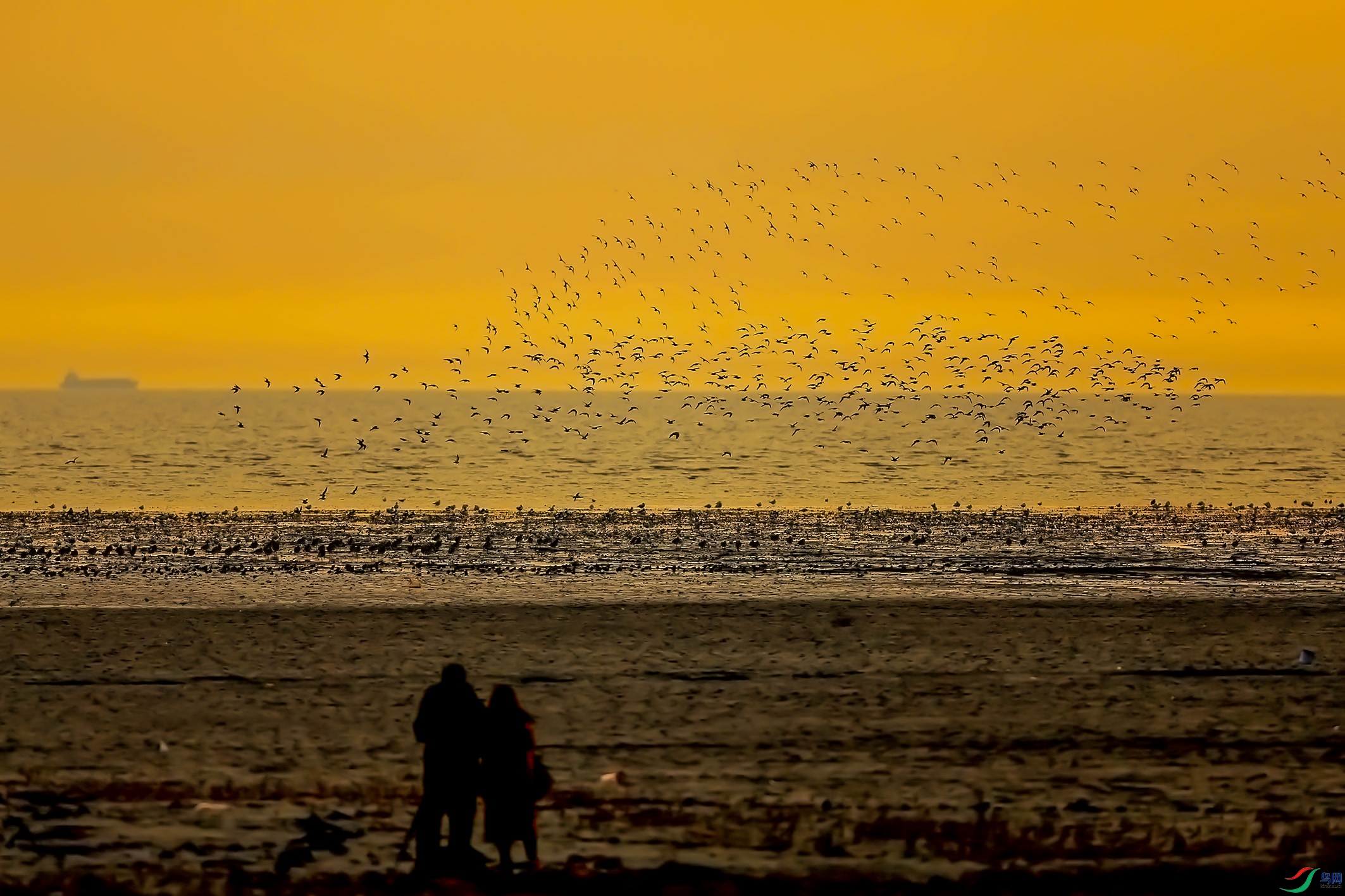 AB0R7231 ����.jpg