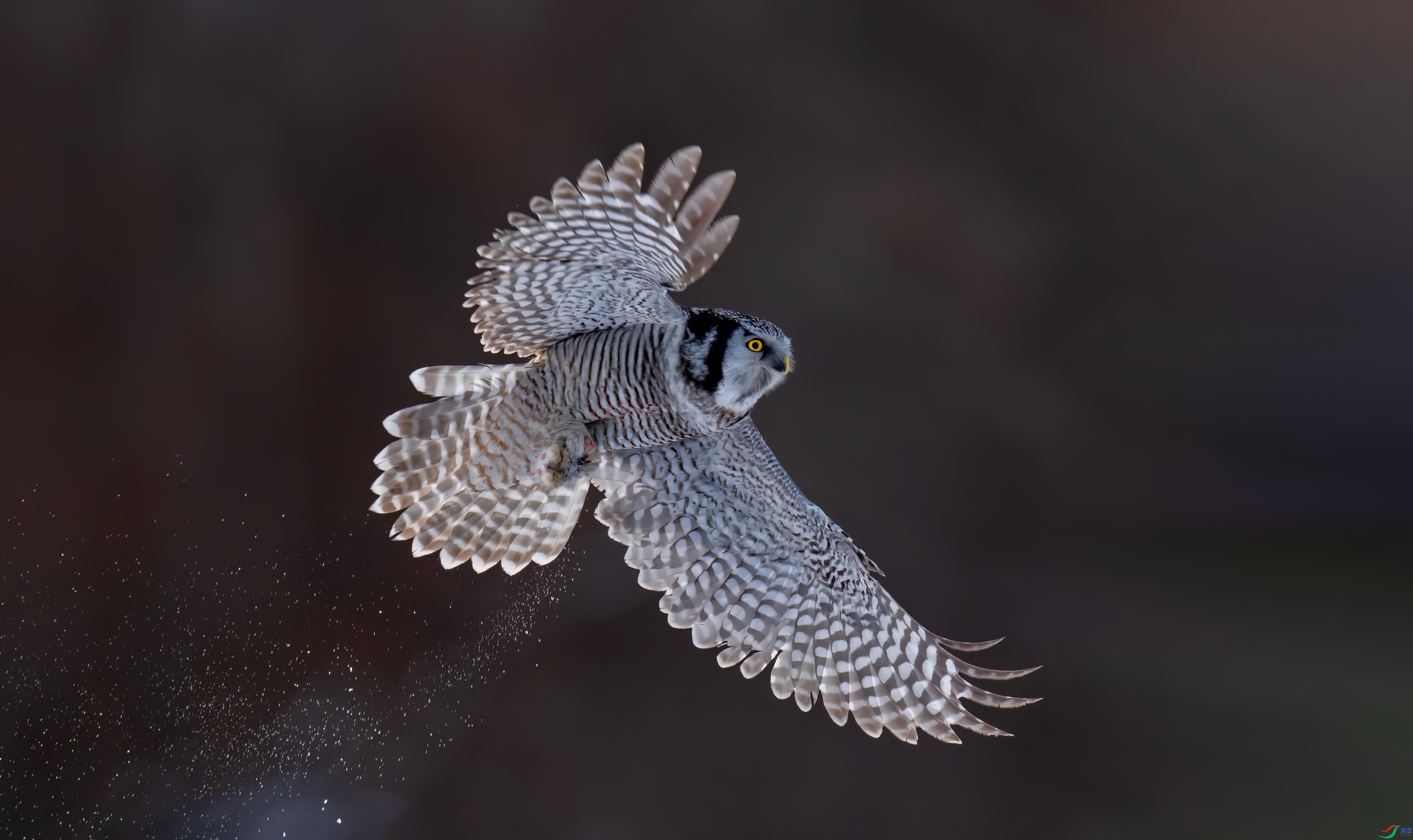 ���^ ���� �ܷ� ����.jpeg