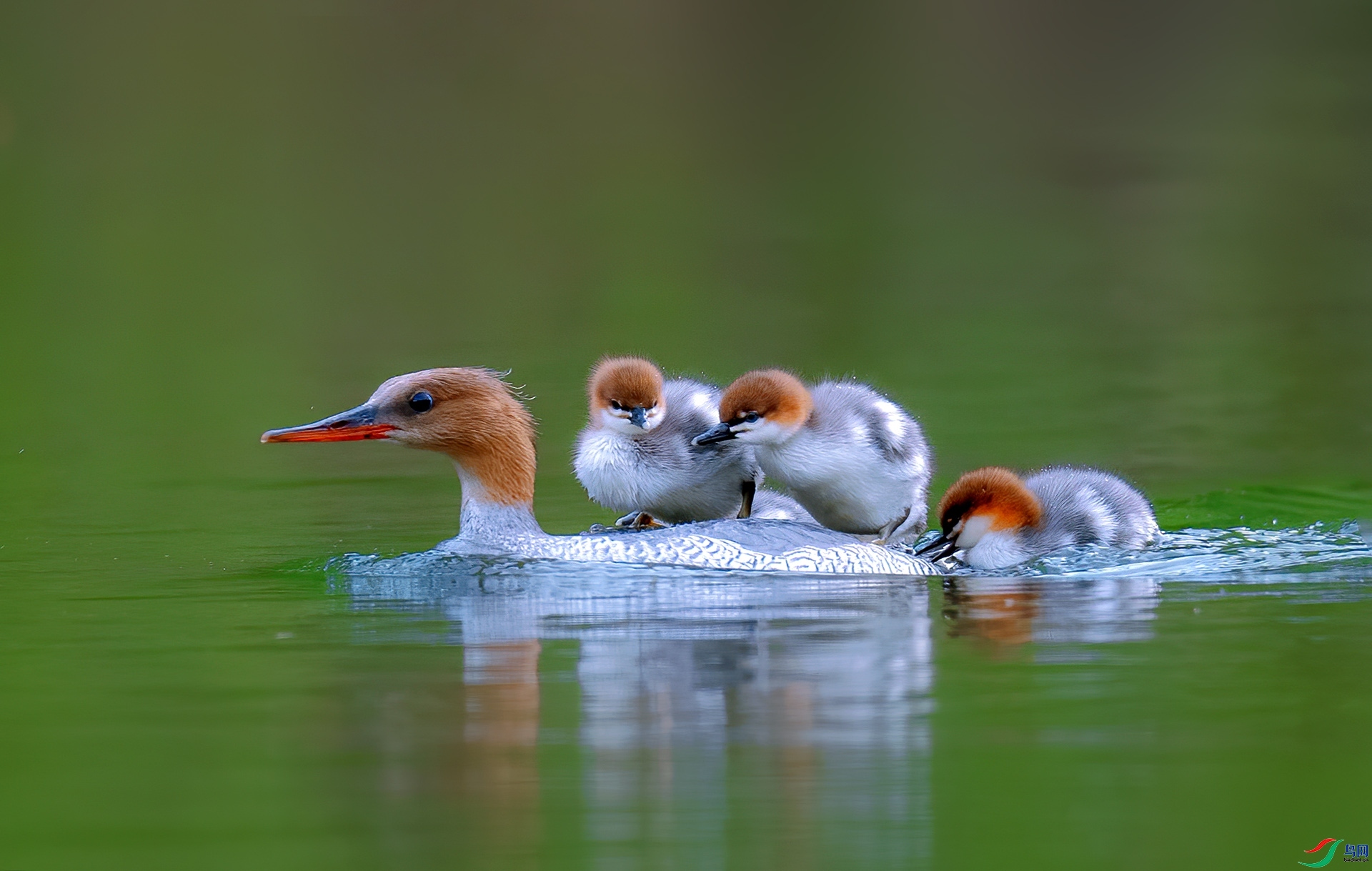 ĸ�� ���� �������� ����.jpg