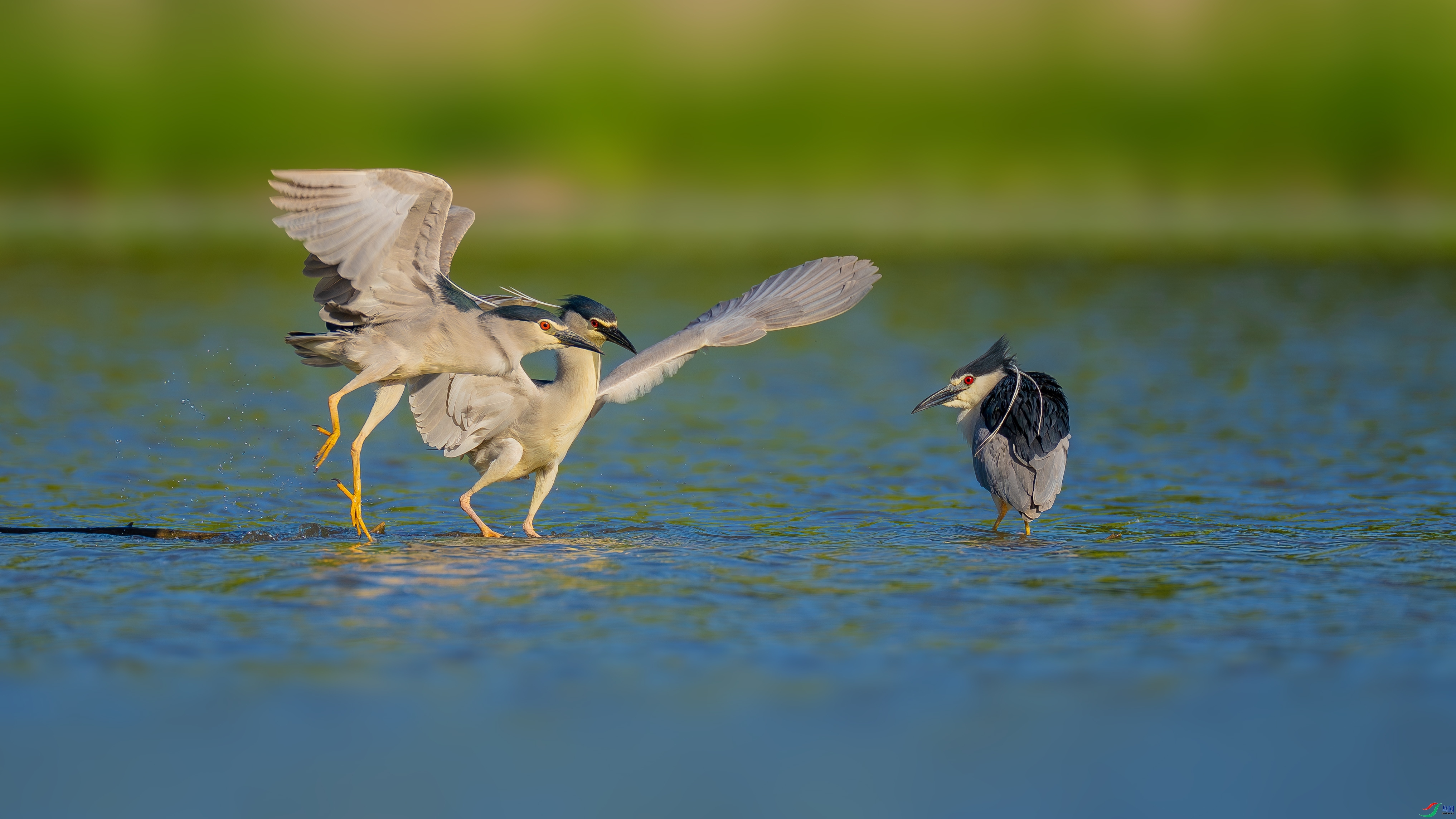 ̽�� ���� ������ ����.jpg