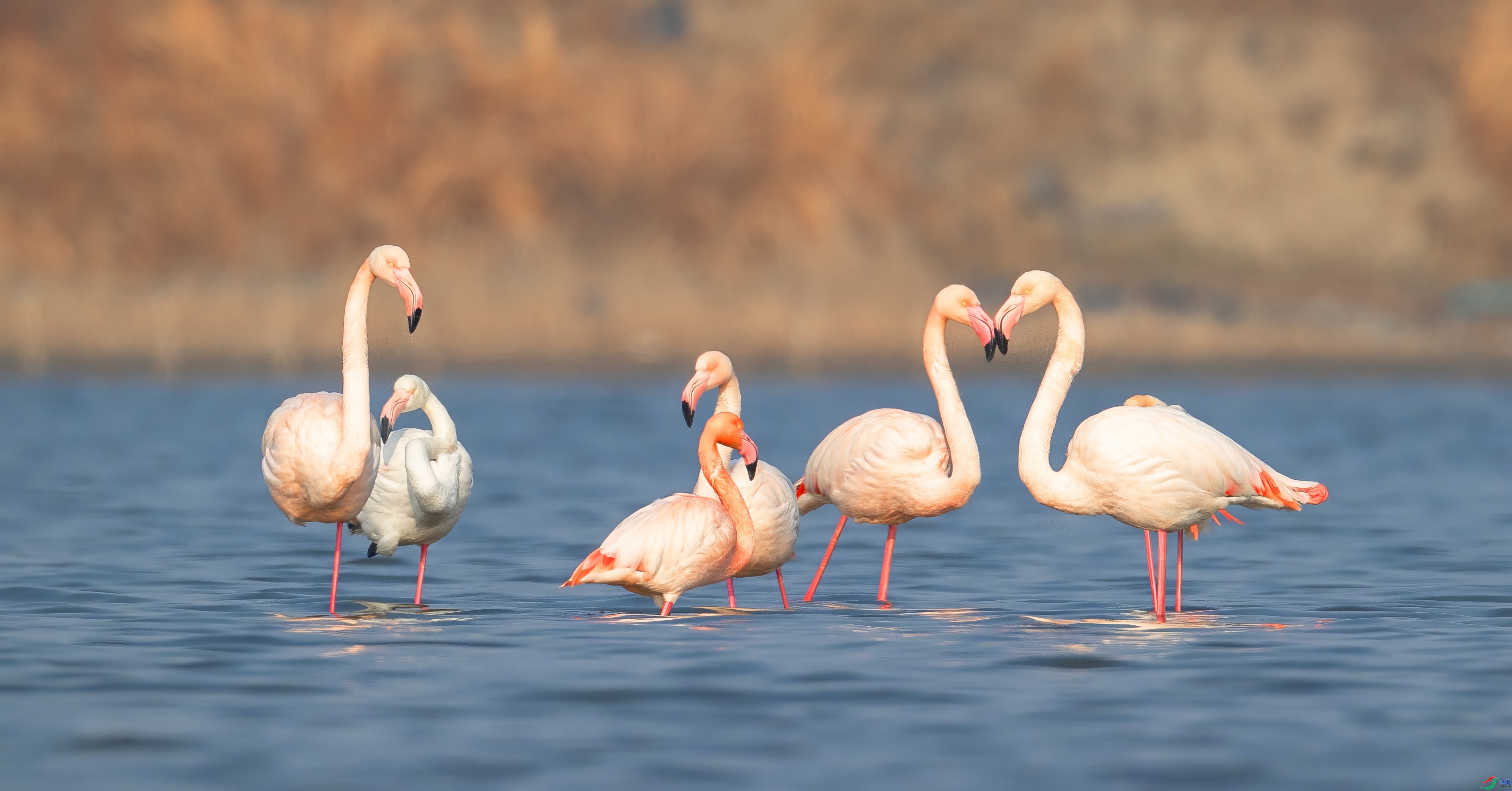 ������ ���� �ܷ� ����.jpeg