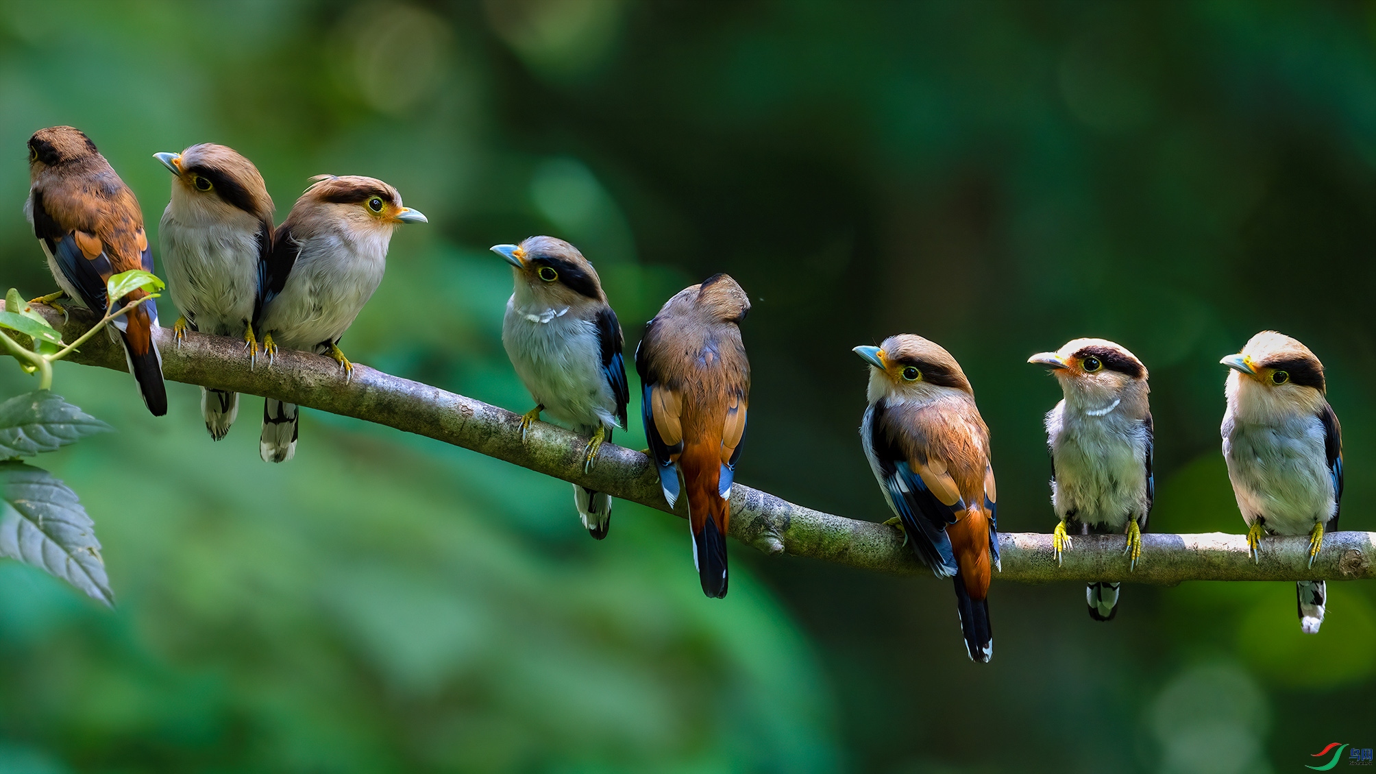 DSC03980-1 ����.jpg