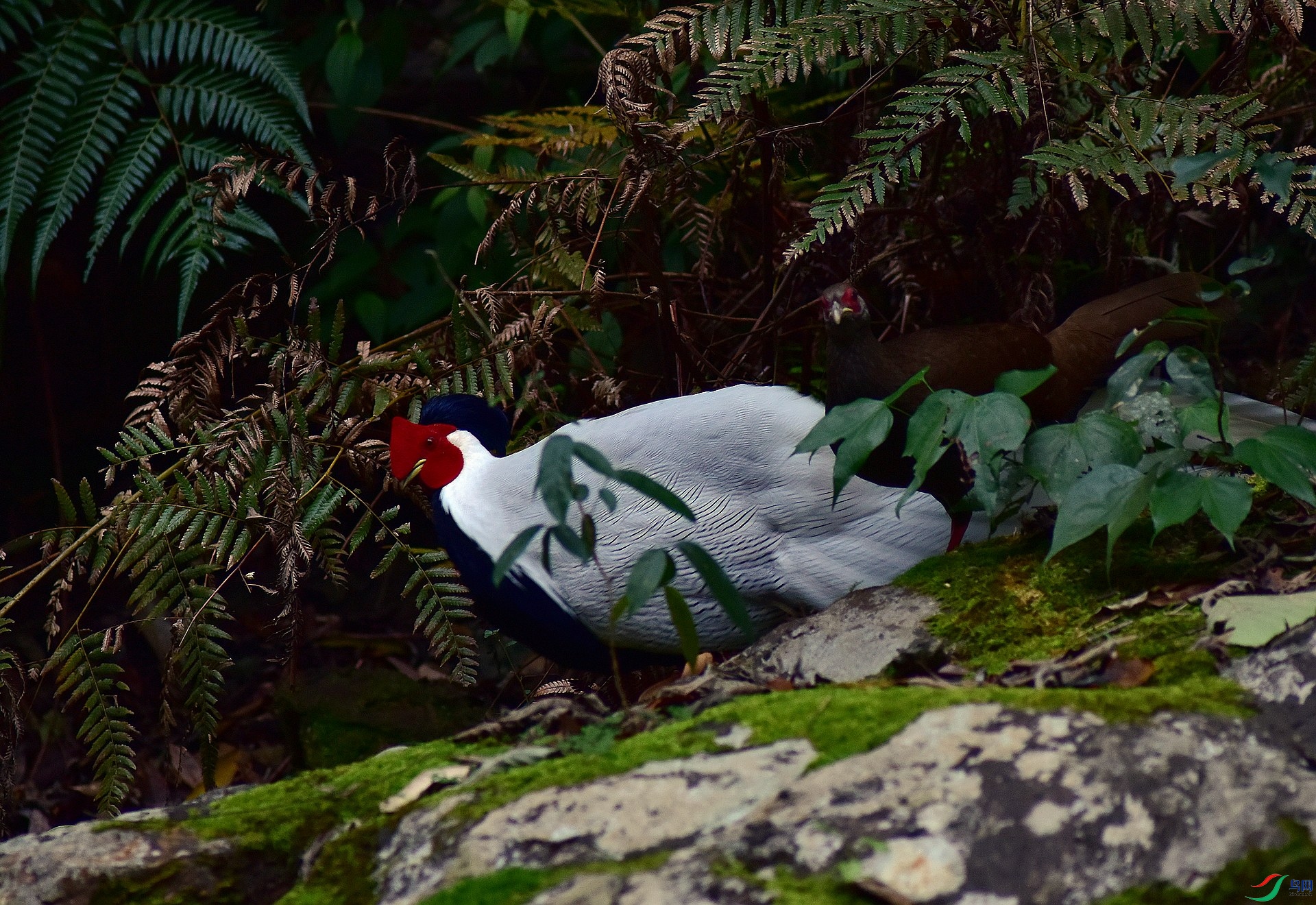 D8I_0980.jpg