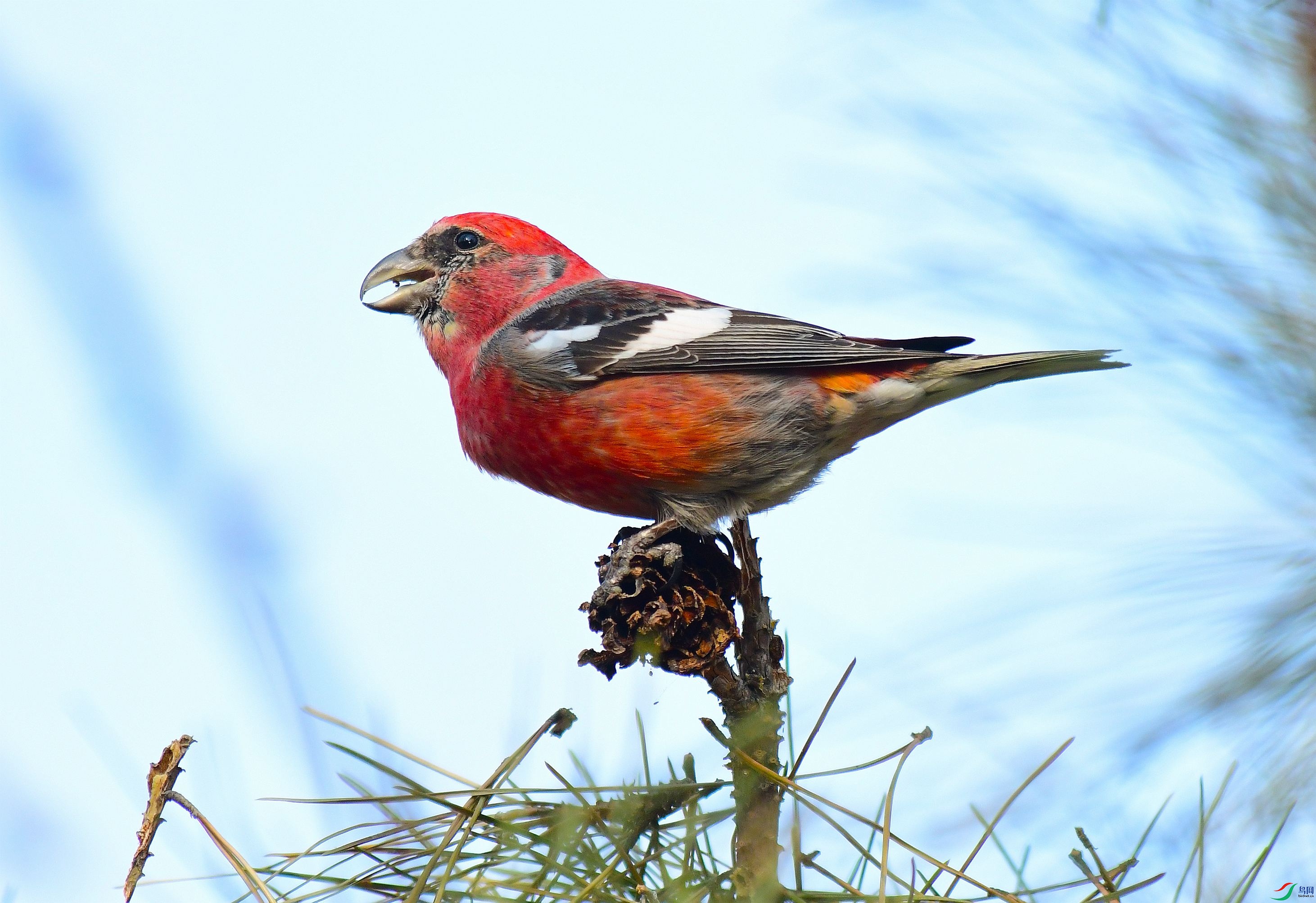 DSC_6378.JPG