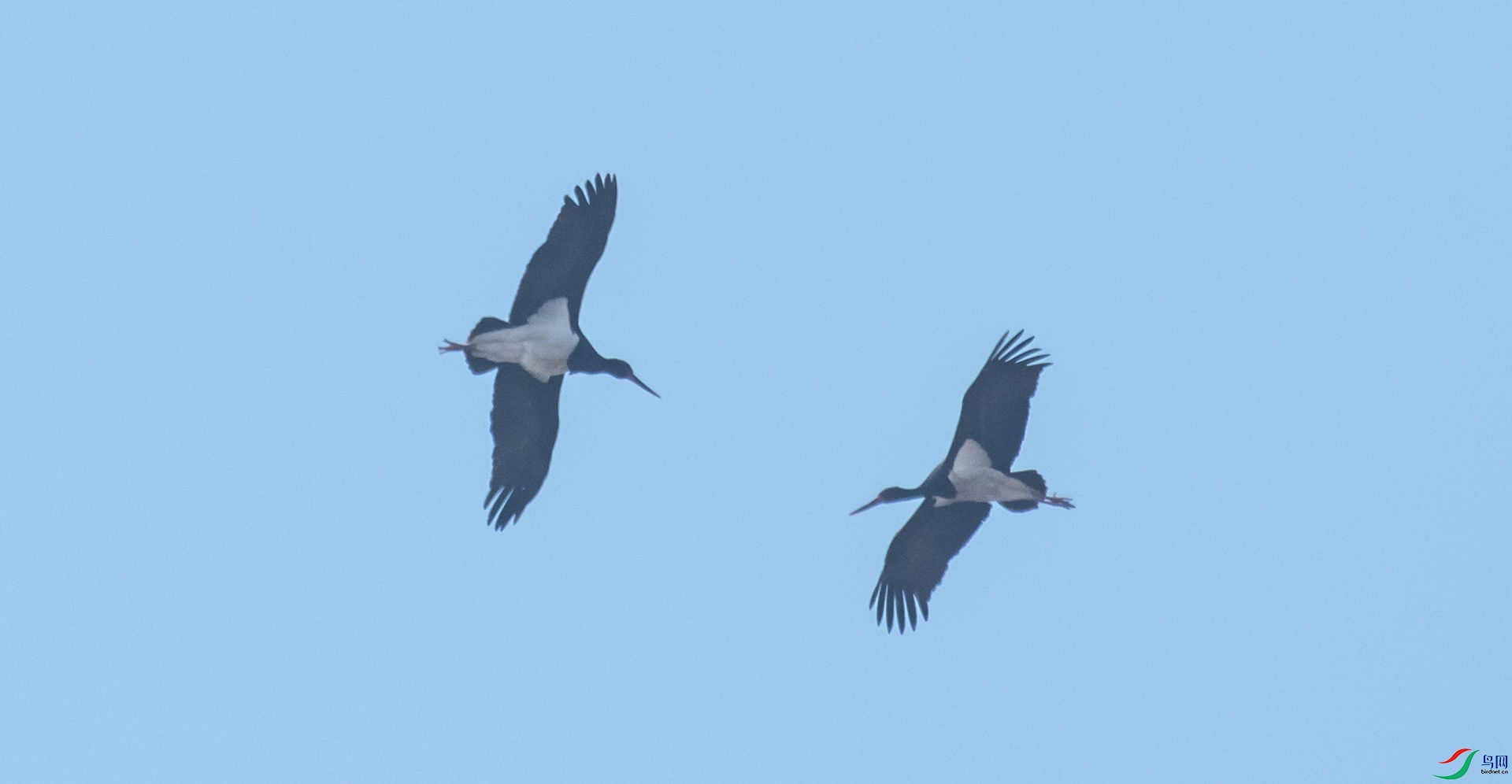 DSC_6274.jpg