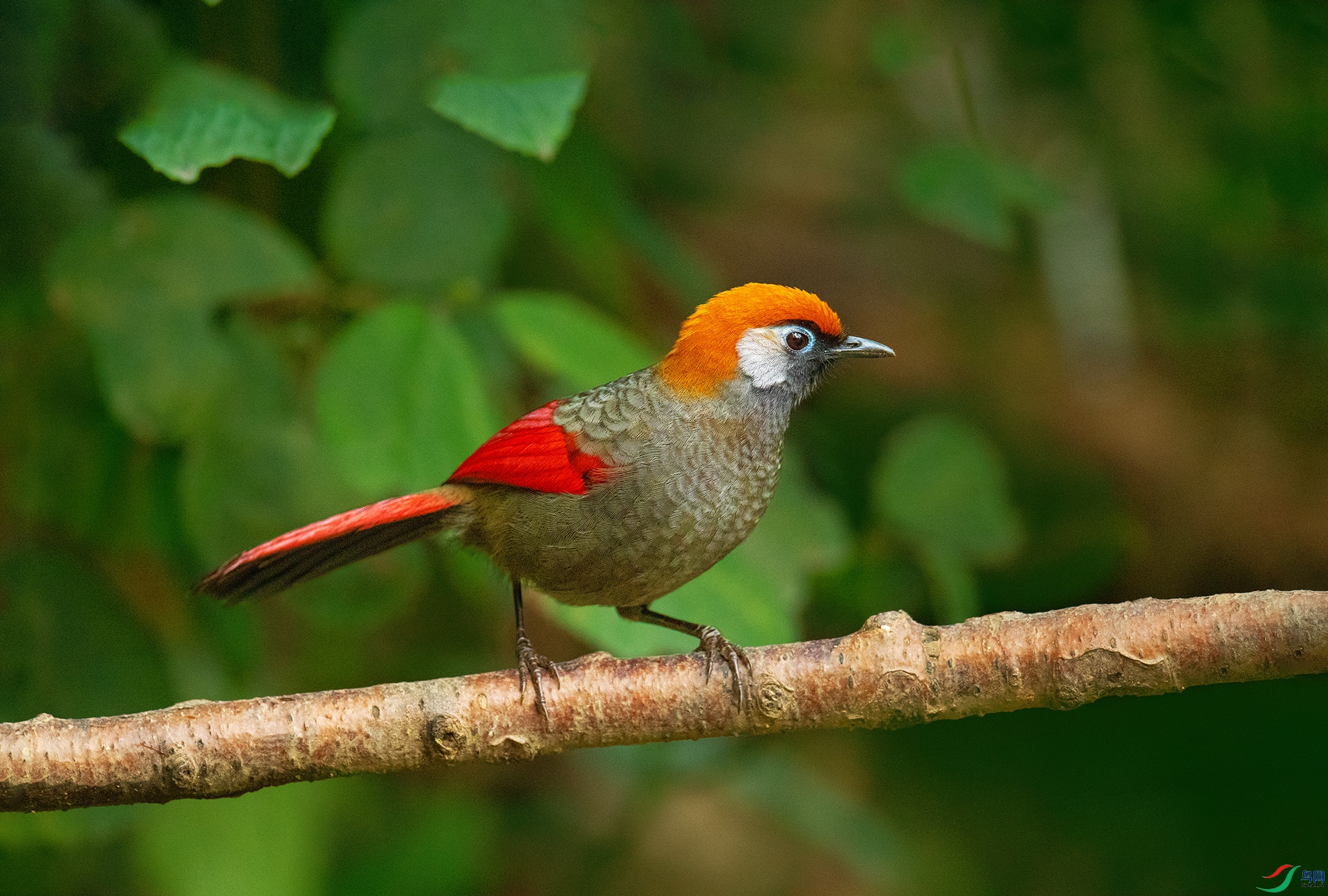 DSC_2660 -1.jpg