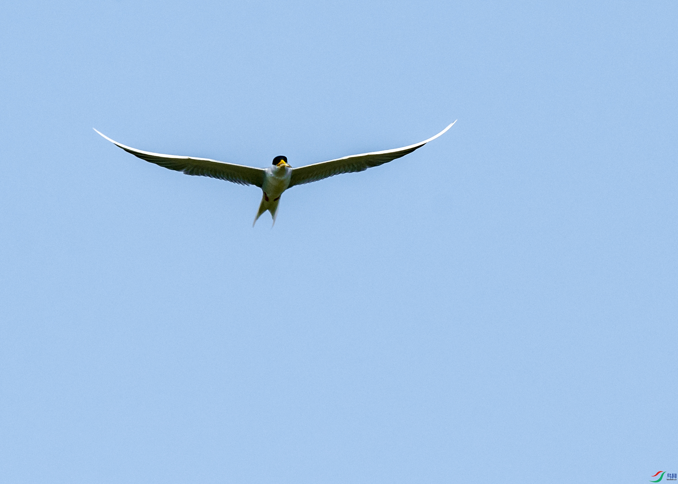 0642 ����.jpg