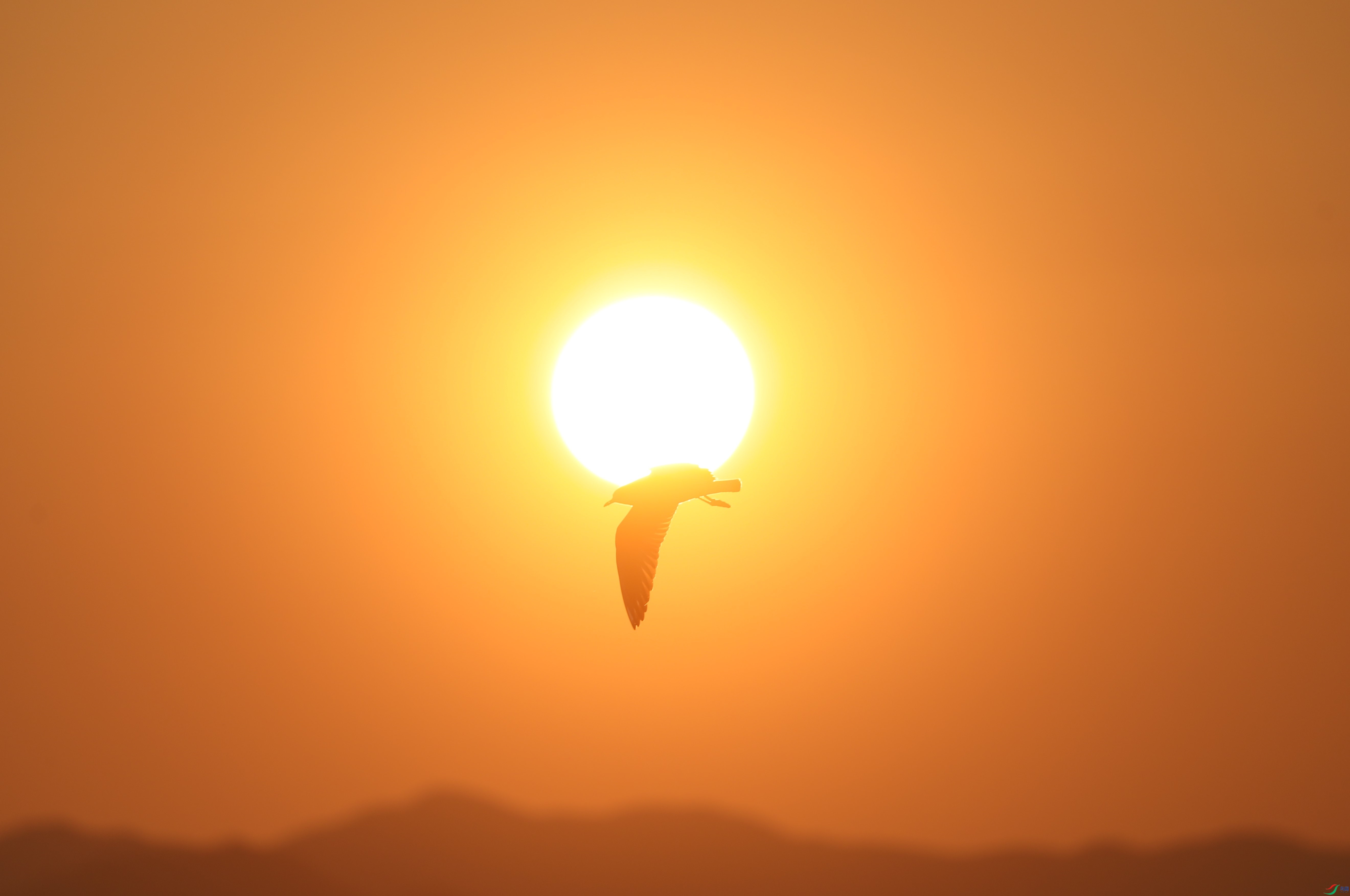 BL7A2985.JPG
