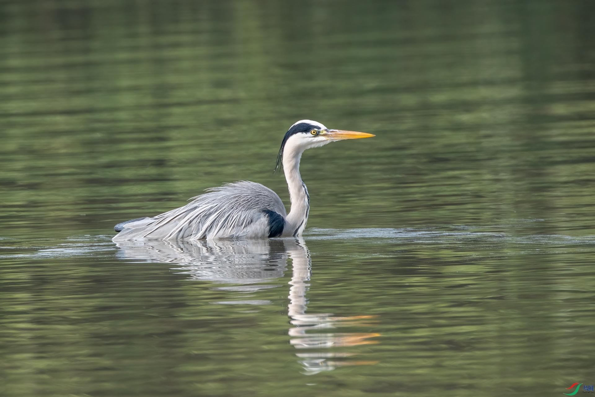 DSC_0402.jpg