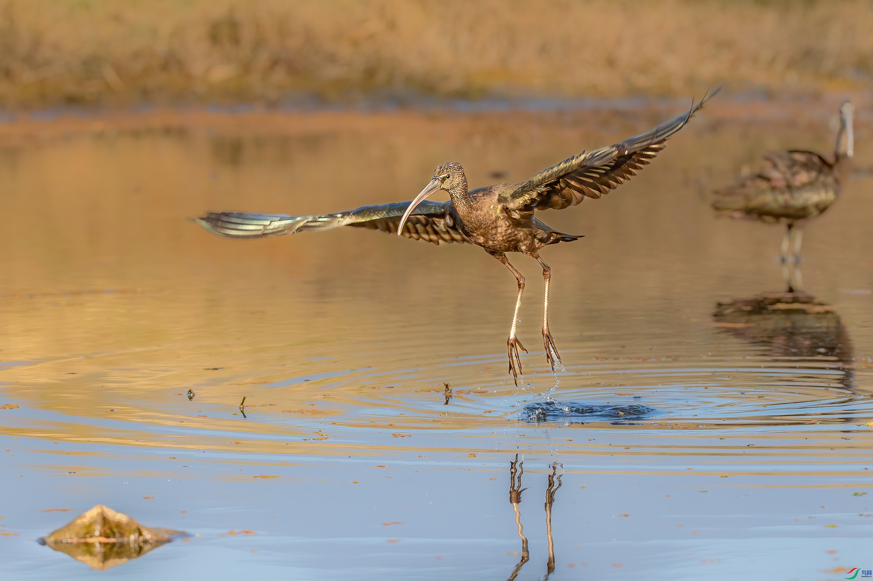 3S5A6186 ����.jpg