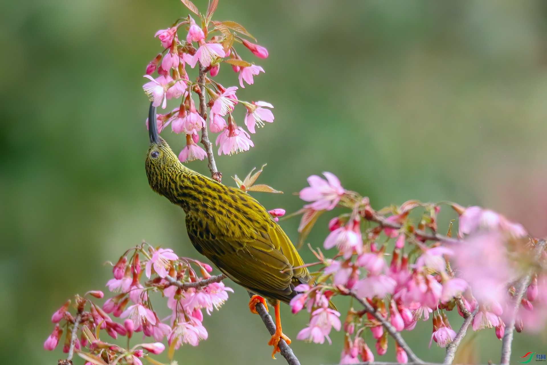 363A6500a_����.jpg