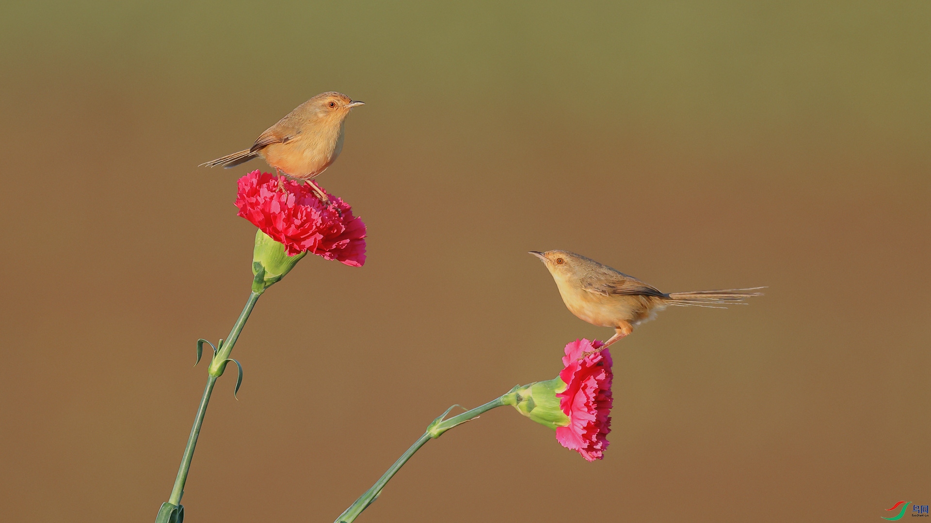 1M6A9991 ����_����1.jpg