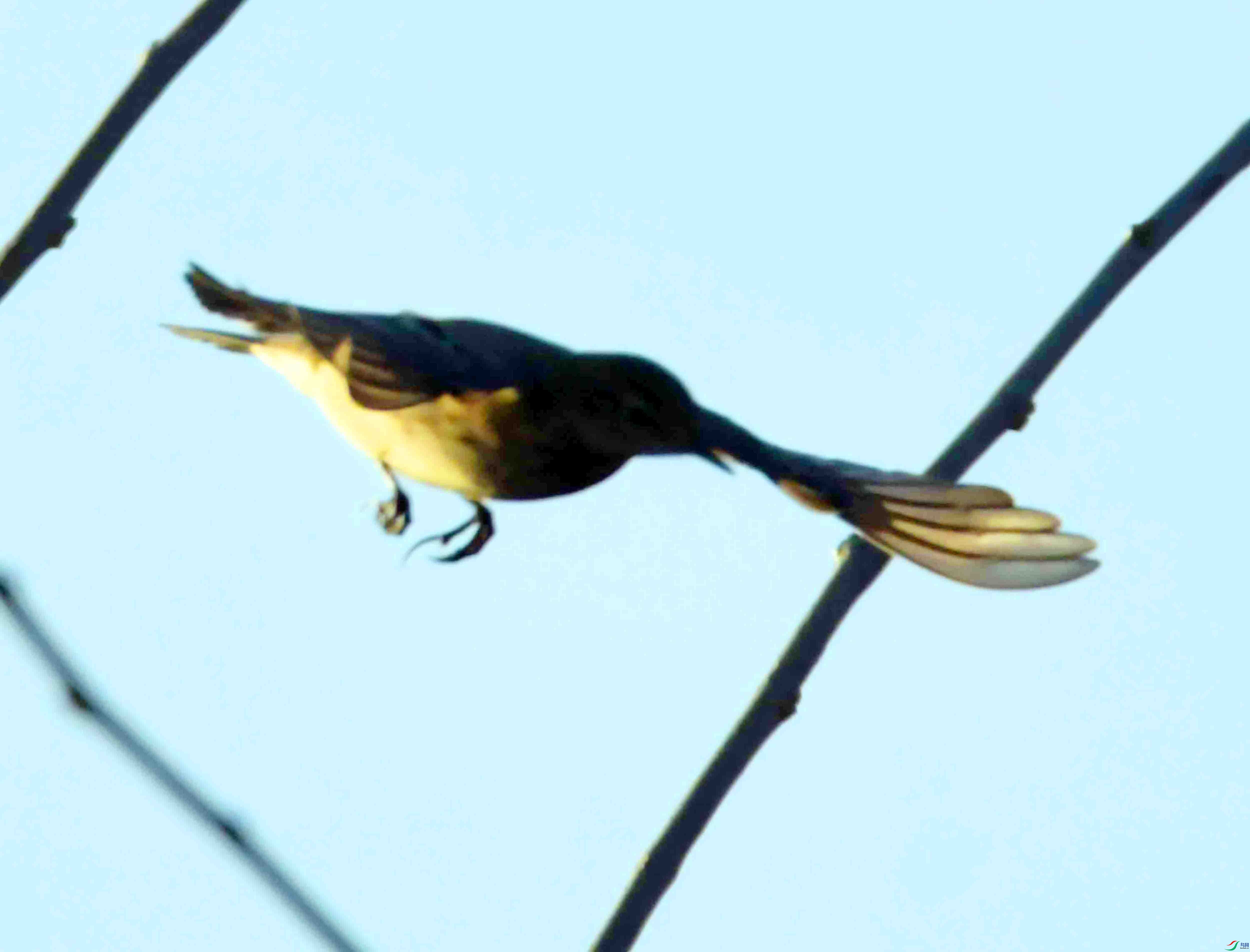 DSC_1896.JPG