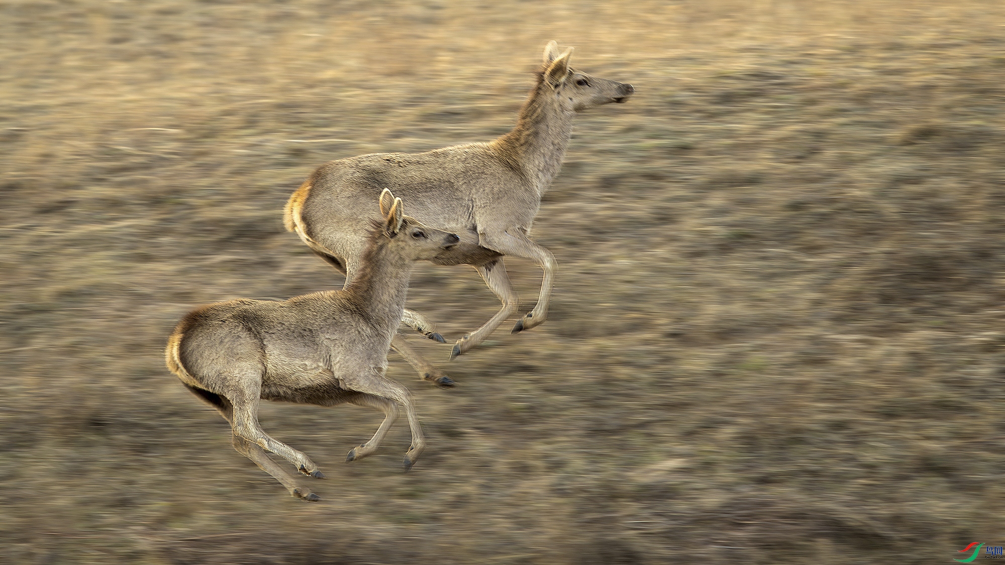 AQ9I0529-����ǿ-NR ����.jpg