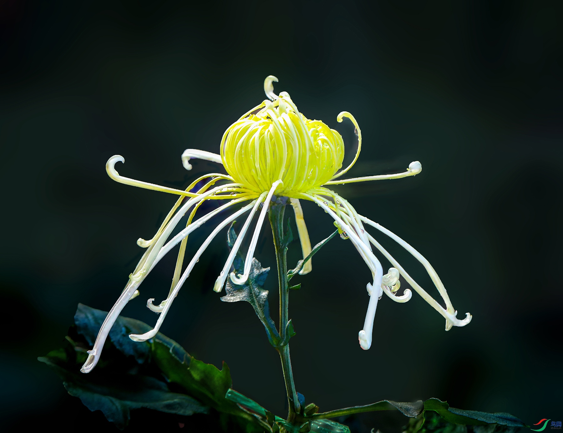 0000IMG_0886 ��������1000k.jpg