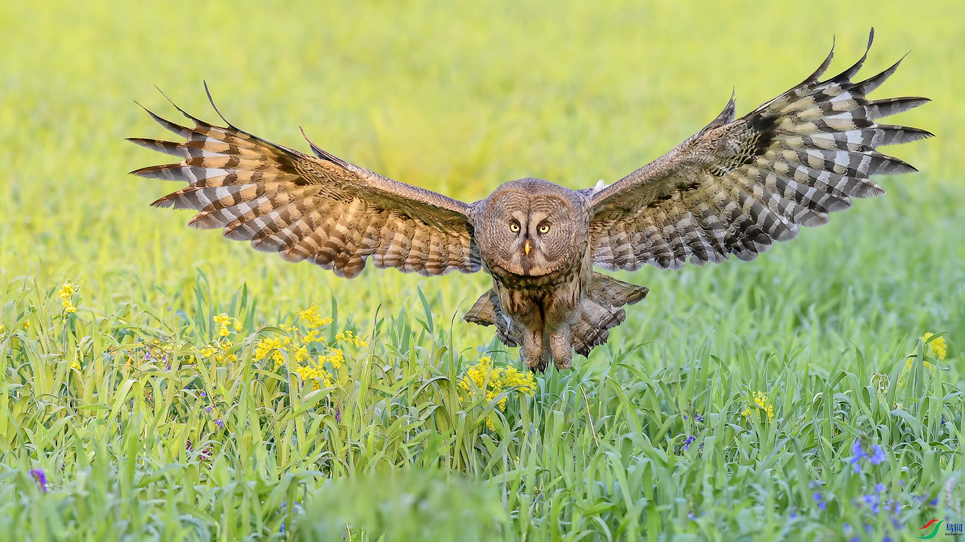 DSC_94MM01.jpg