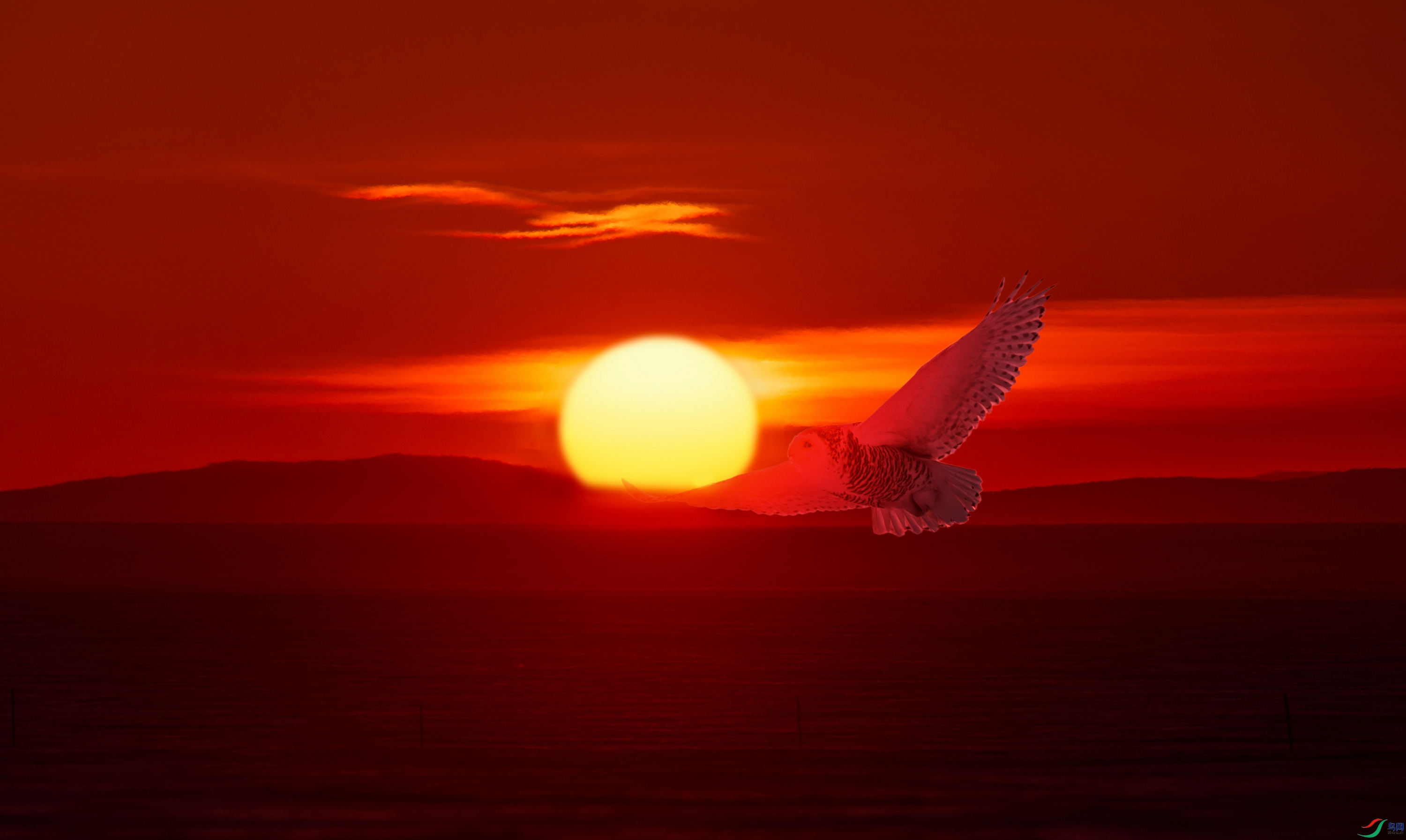 DSC_6914.jpg