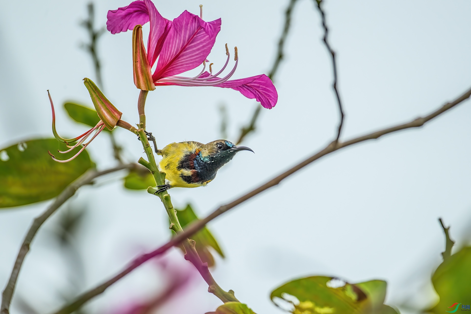 DSC_4220.jpg