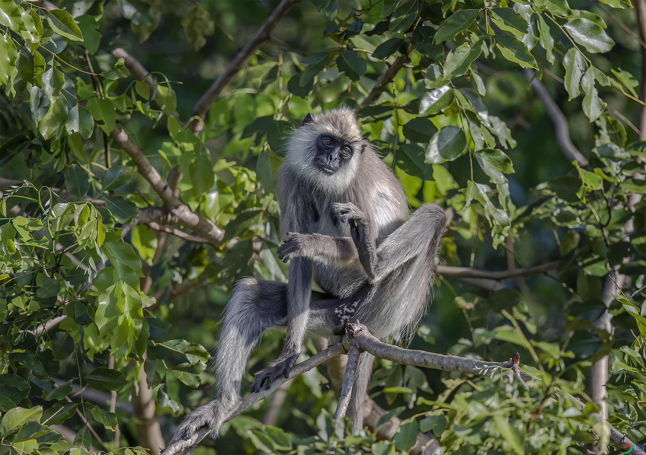 AC3I1063 ����.jpg