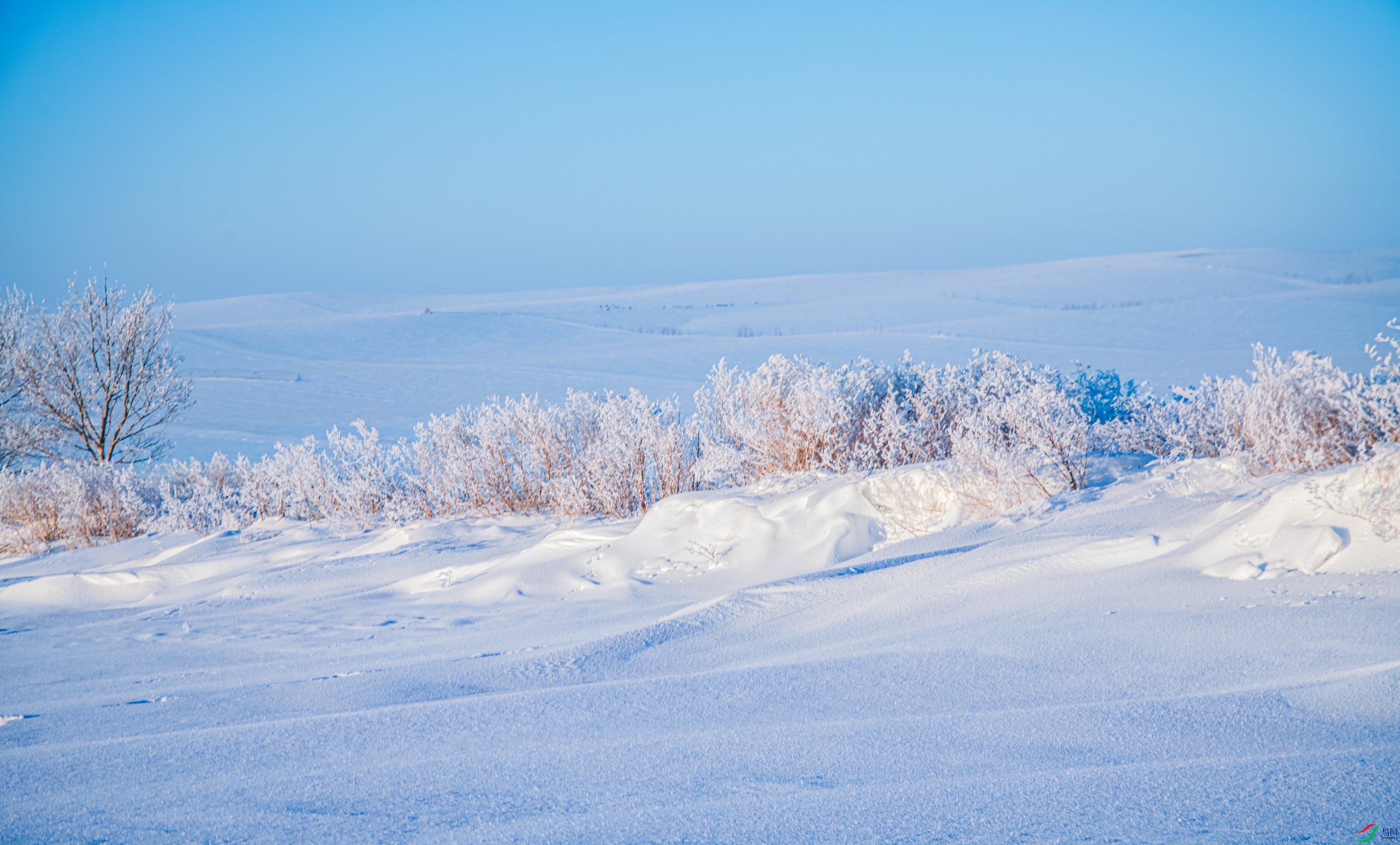 DSC_6521.jpg