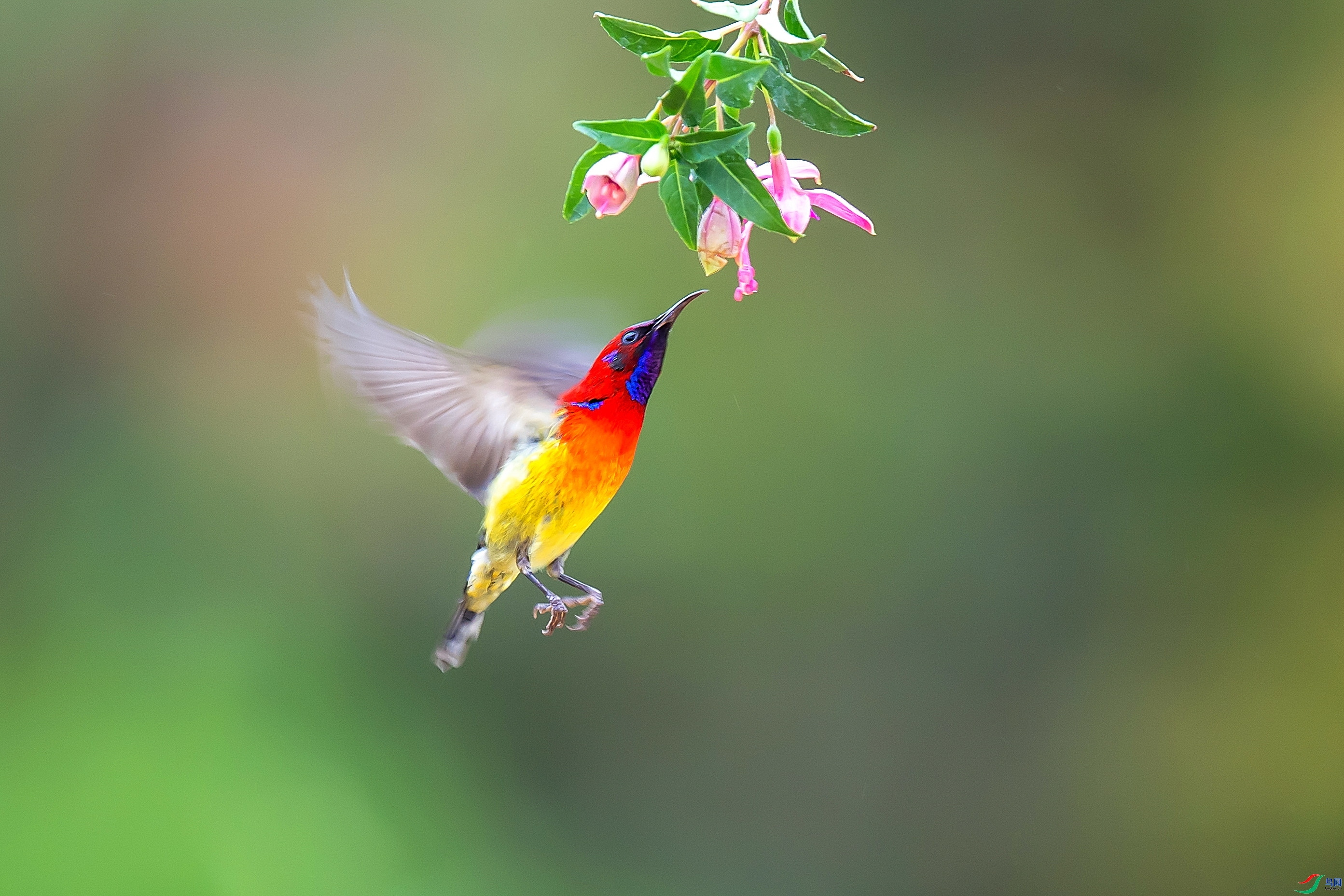 1.13 ����1183��ʦ��Ʒ  ��ĩ����  �ٻ�2024��1��13�ջ�Ա��ҳ����.jpg