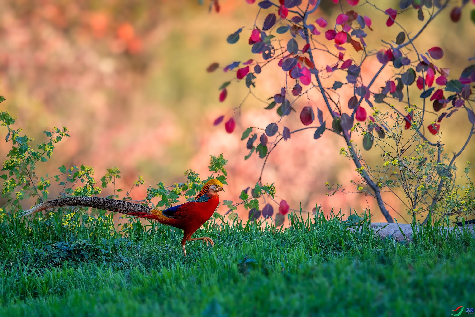 1.13 ���̲�����׺�����ʦ��Ʒ  ����  �ٻ�2024��1��13��������ҳ����.jpg