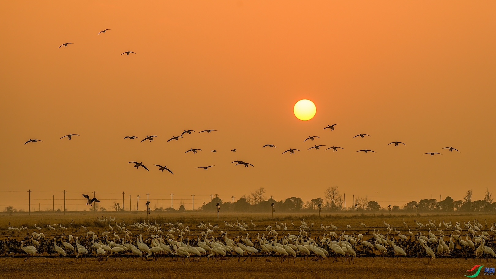 1.13 ˮ���Ƽ���ʦ��Ʒ  �����  �ٻ�2024��1��13�ջ�Ա��ҳ����.jpg