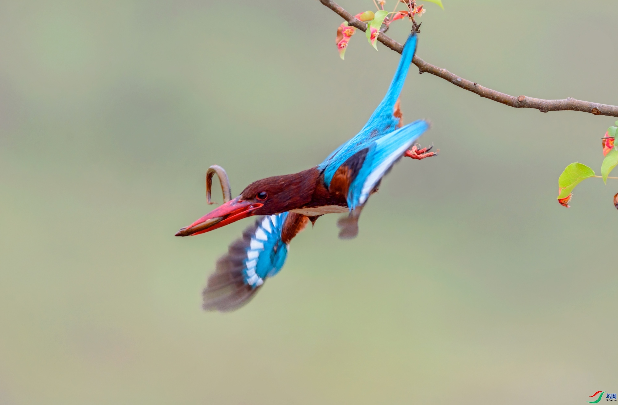 1.14 ��������ʦ��Ʒ  ���ض���  �ٻ�2024��1��14�ջ�Ա��ҳ����.jpg