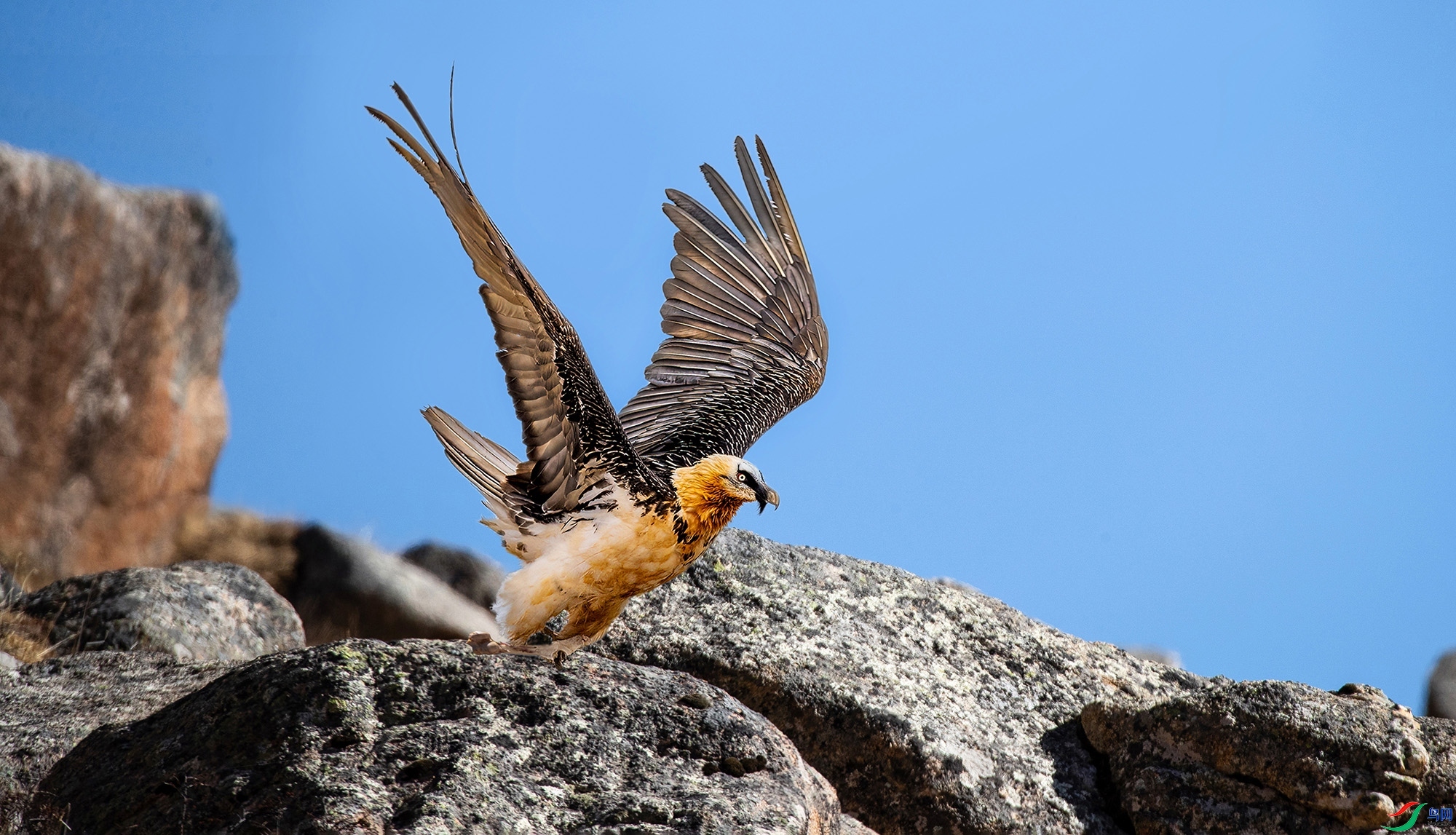 1.14 ��Ϲ������ʦ��Ʒ  Х������  �ٻ�2024��1��14�ջ�Ա��ҳ����.jpg