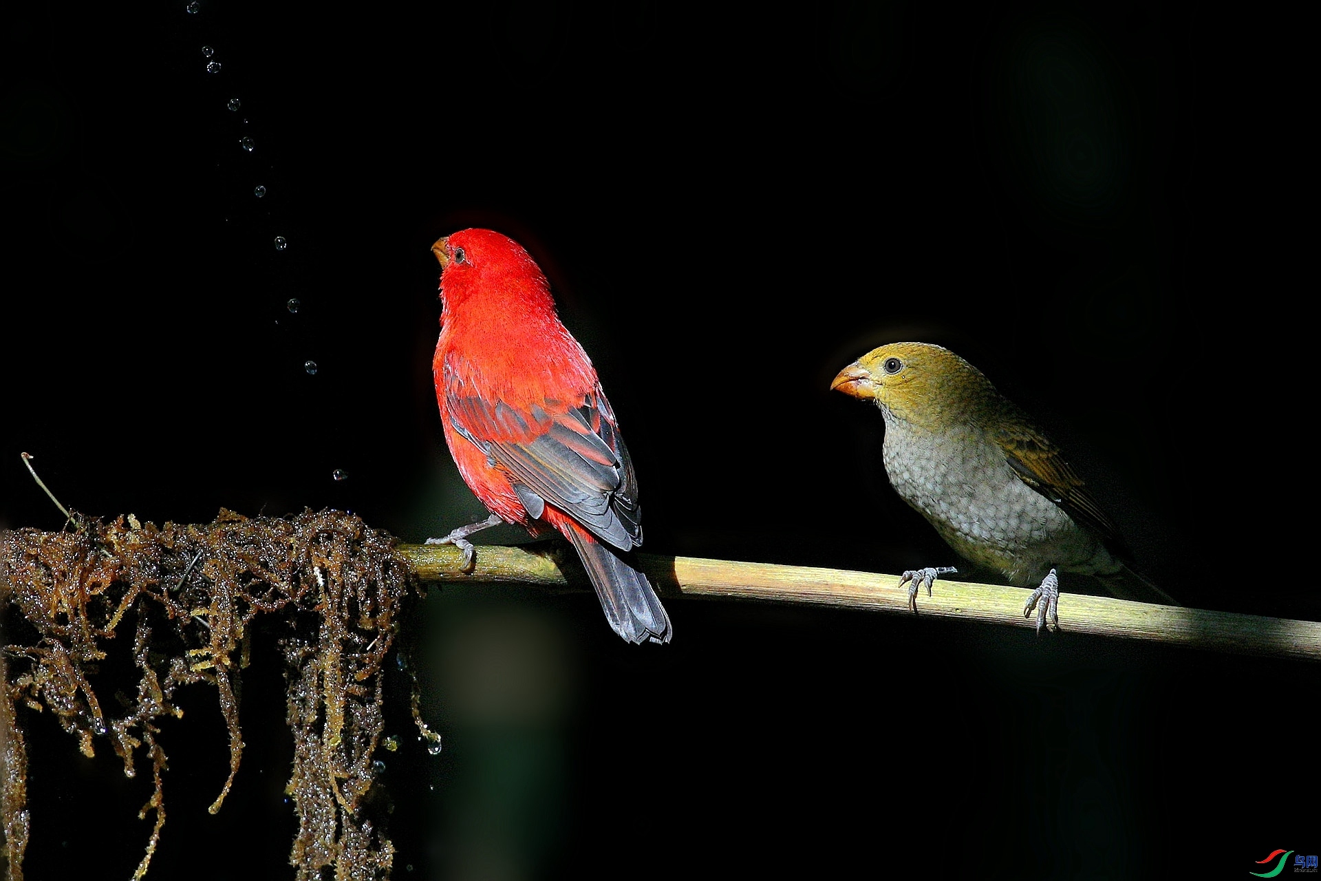 1.14 ��������ʦ��Ʒ  ��һ����  �ٻ�2024��1��14����Ӱʦ��ҳ����.jpg