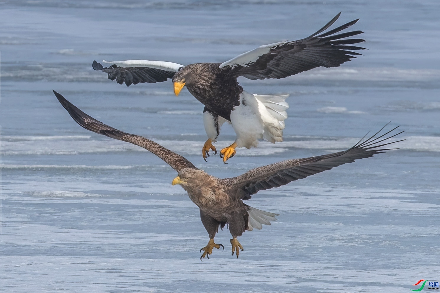 1.15 0529��ʦ��Ʒ  ��ͷ��ħ  �ٻ�2024��1��15����Ӱʦ��ҳ����.jpg