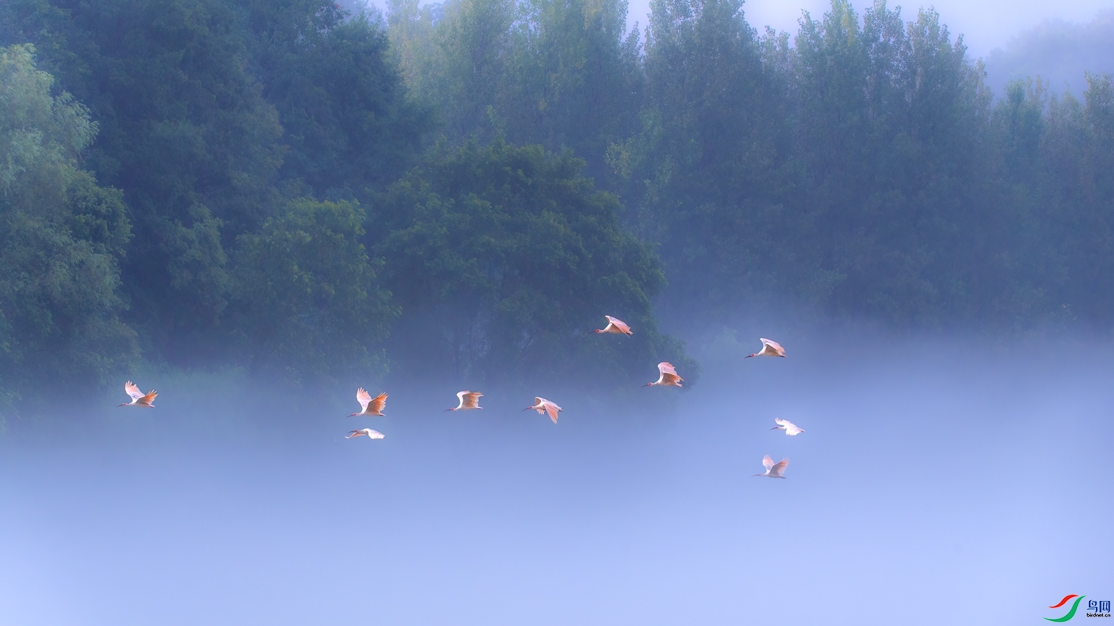 1.15 ����������Ʒ  �δ��������q  �ٻ�2024��1��15�ջ�Ա��ҳ����.jpg