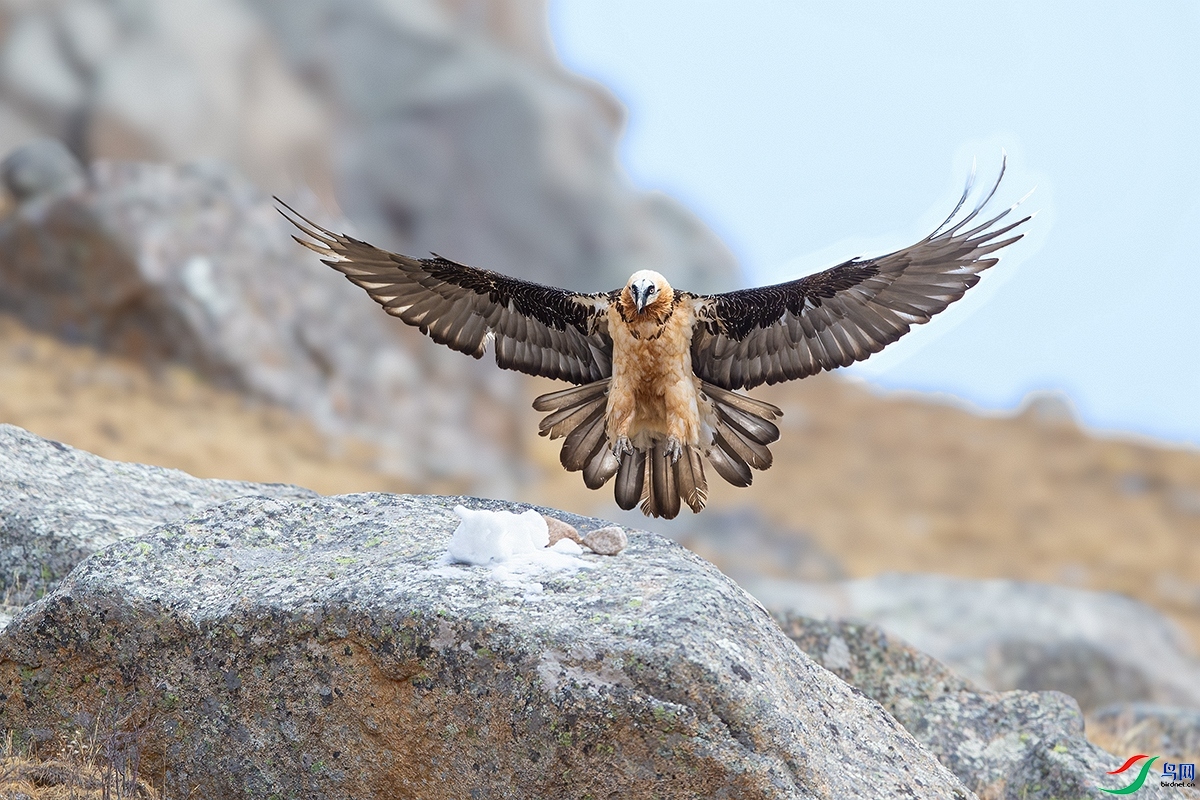 1.15 ����ɽ������ʦ��Ʒ  ӭ�����  �ٻ�2024��1��15����Ӱʦ��ҳ����.jpg