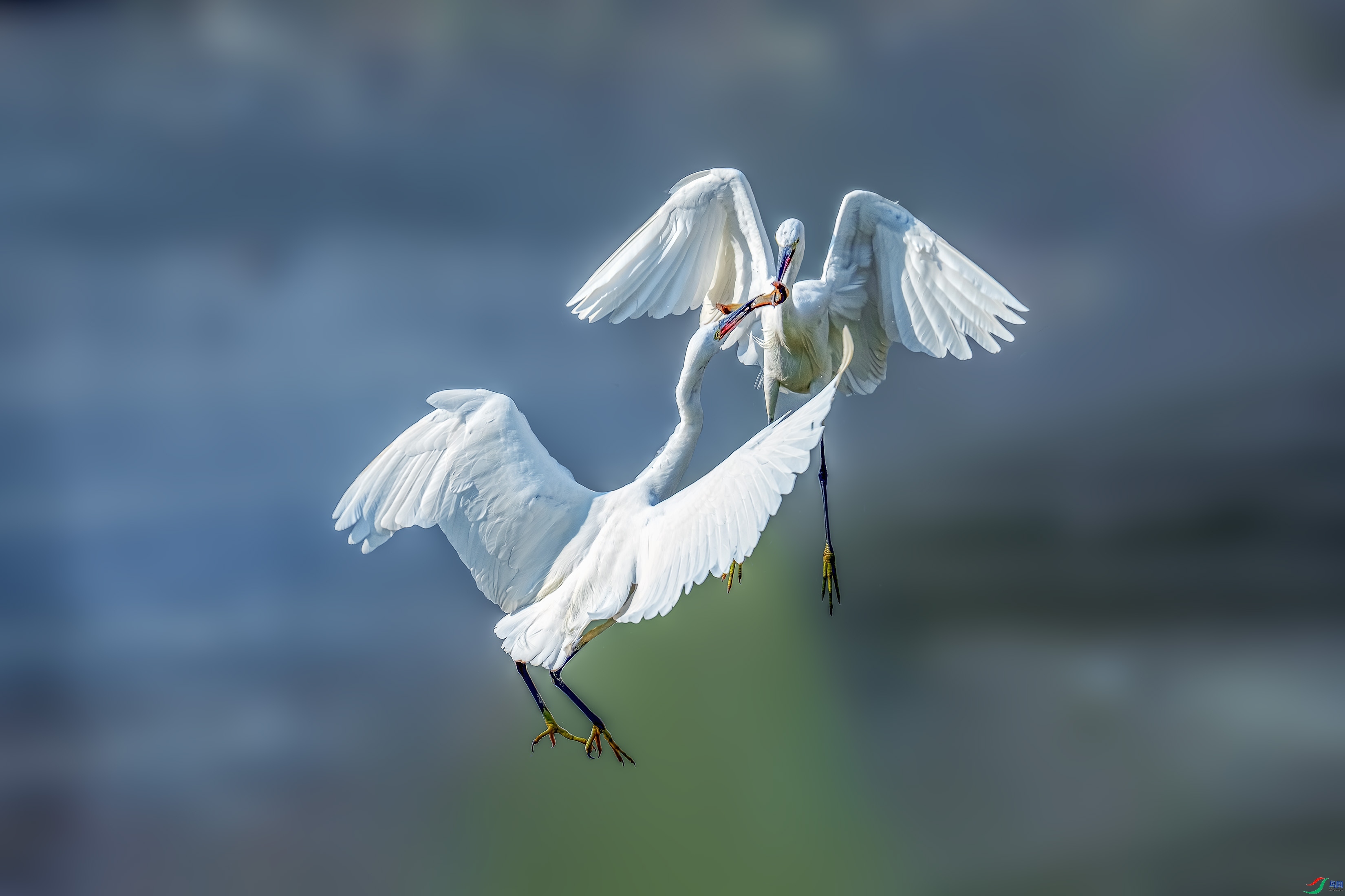 1.15 С������63��ʦ��Ʒ  ����  �ٻ�2024��1��15����Ӱʦ��ҳ����.jpg