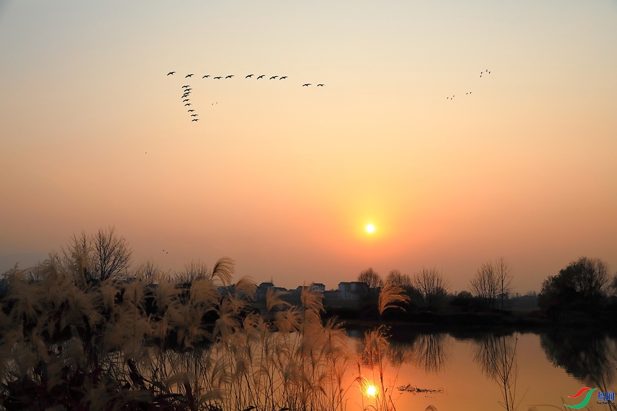 1.15 һ·̤����ʦ��Ʒ  �����б��  �ٻ�2024��1��15��������ҳ����.jpg