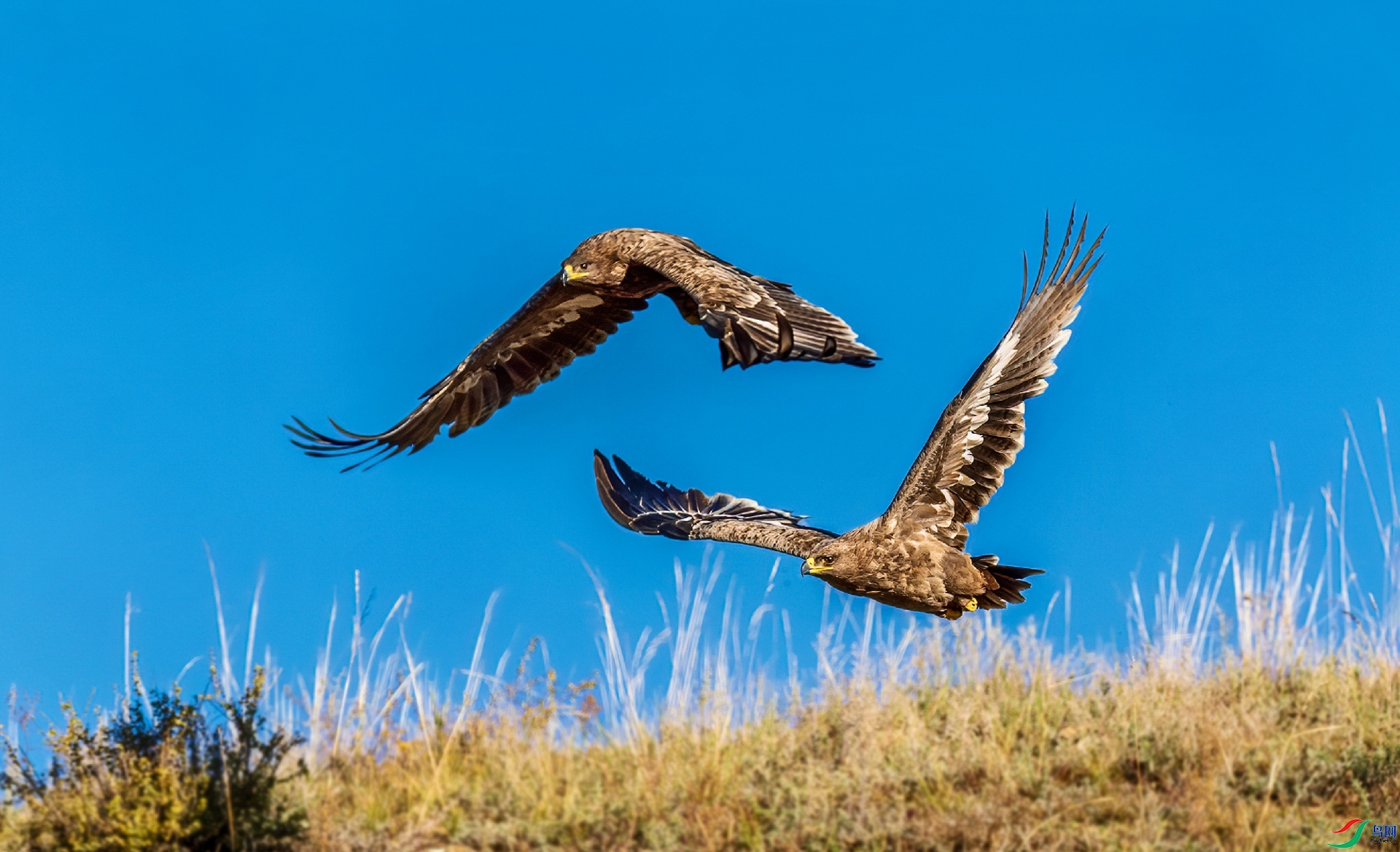 1.16 ������ͯ��ʦ��Ʒ  ����˫��  �ٻ�2024��1��24����Ӱʦ��ҳ����.jpg