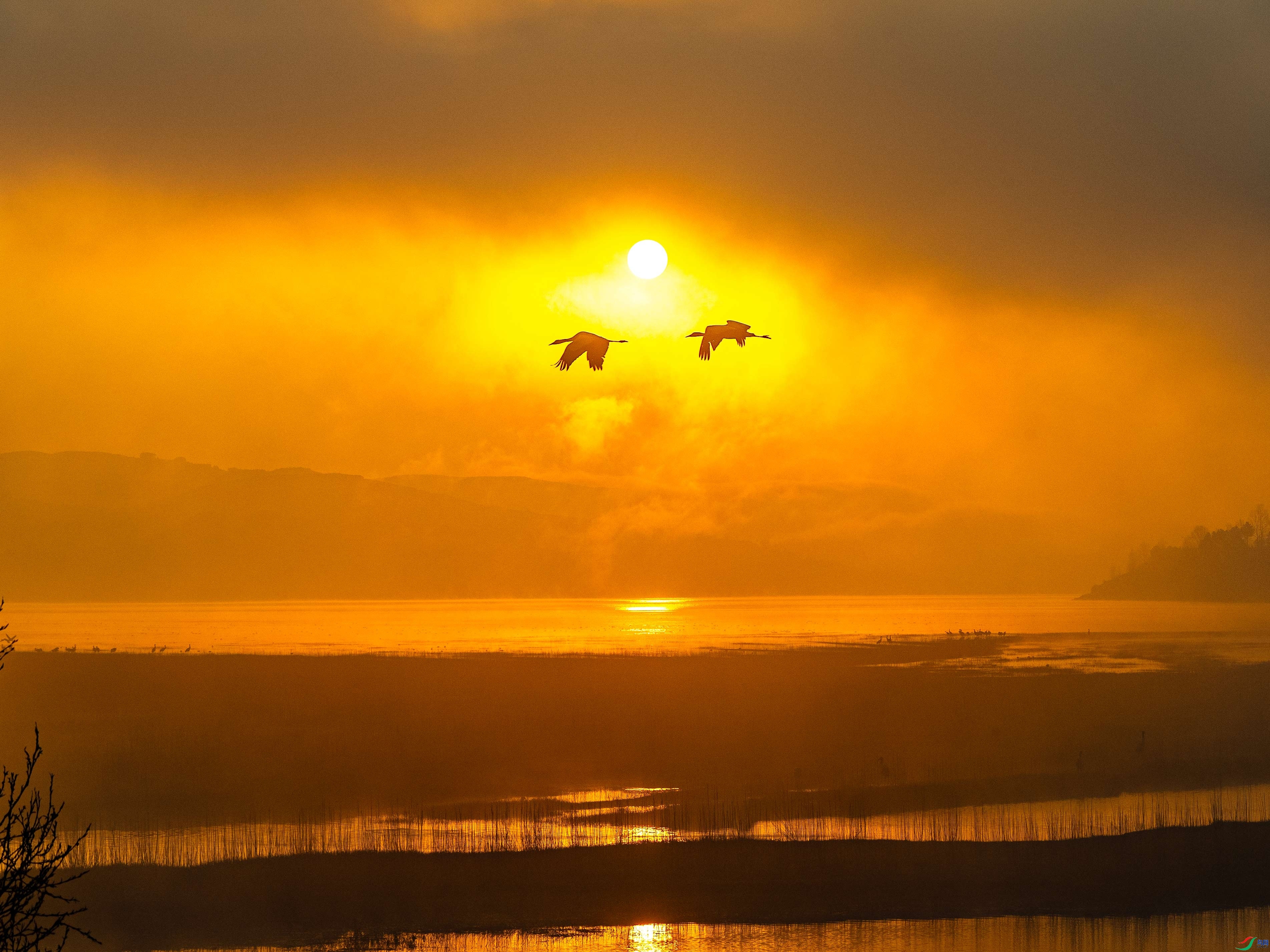 1.16 һ����ˮ��ʦ��Ʒ  ������ԭ�ھ���  �ٻ�2024��1��16����Ӱʦ��ҳ����.jpg