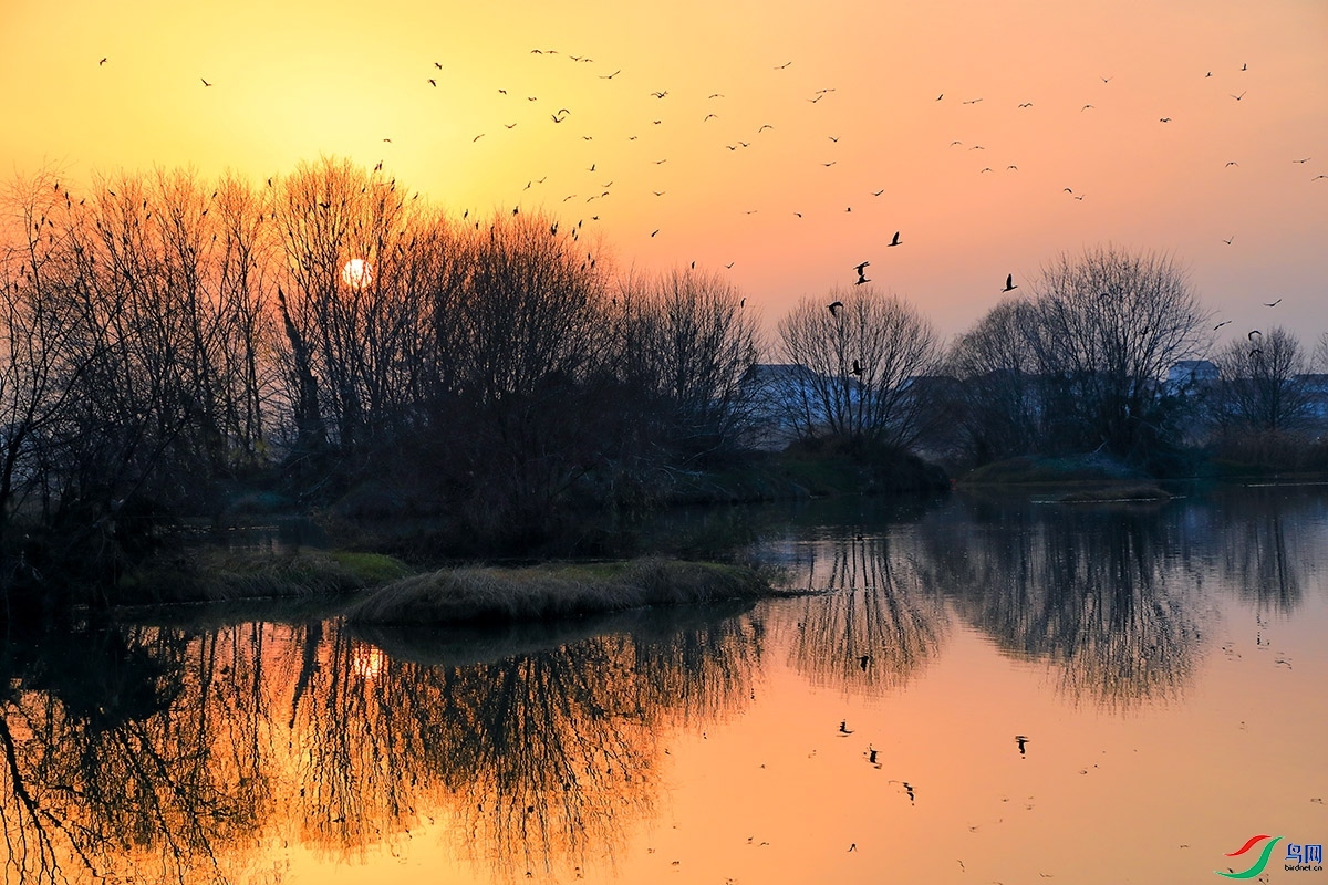 1.16 һ·̤����ʦ��Ʒ  ����ʪ�ػƻ�  �ٻ�2024��1��16��������ҳ����.jpg