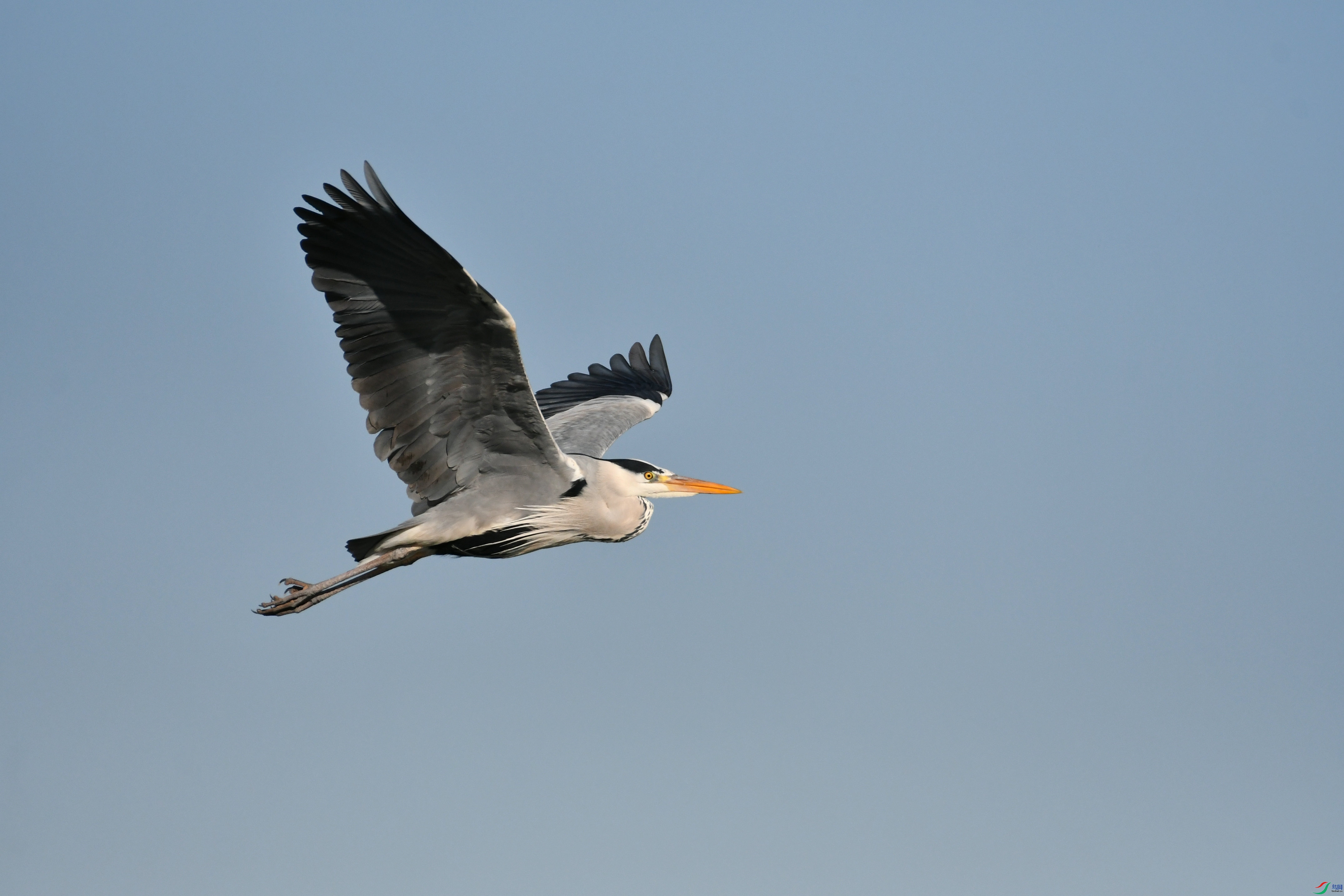 DSC_1627.JPG
