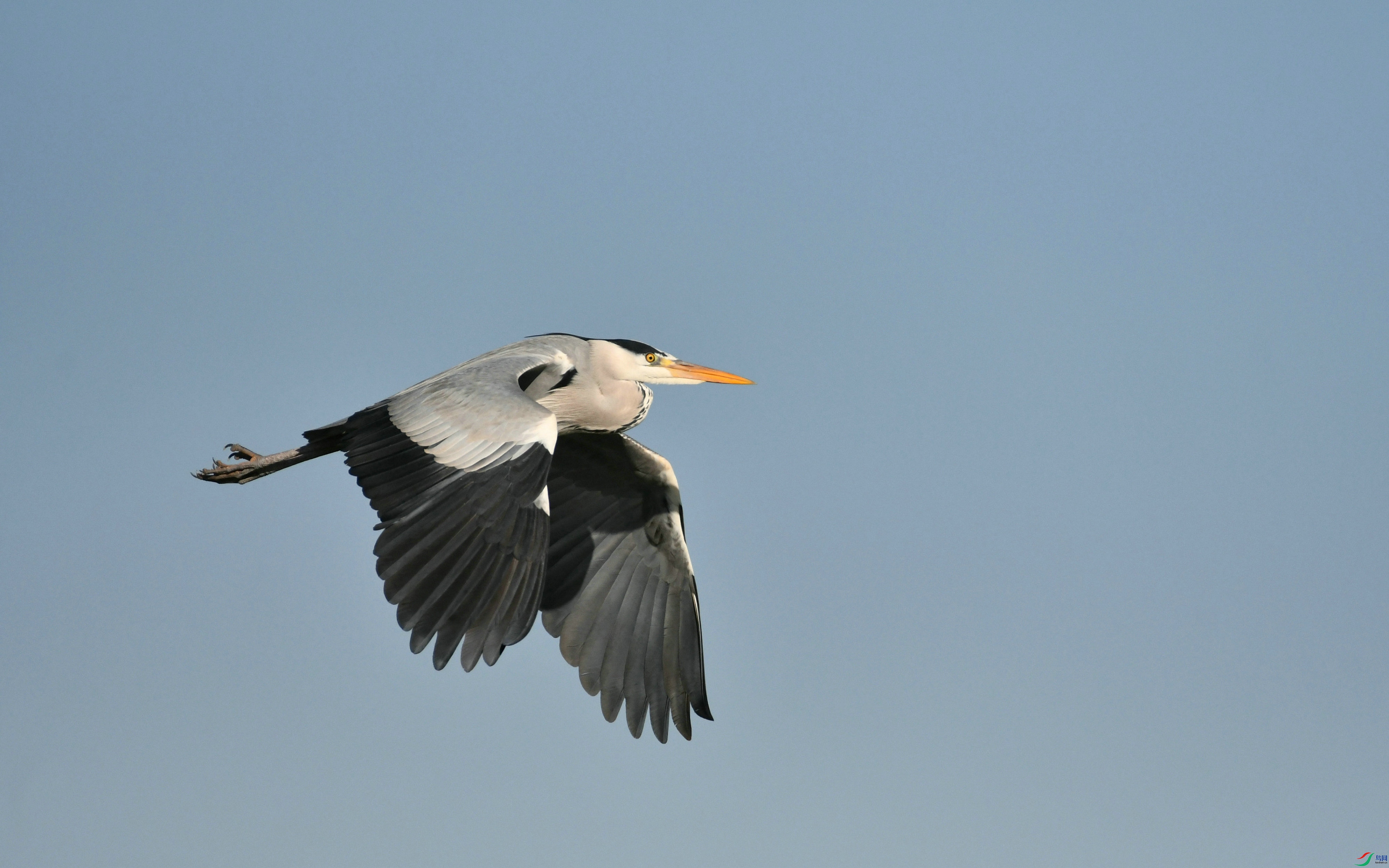DSC_1629.JPG
