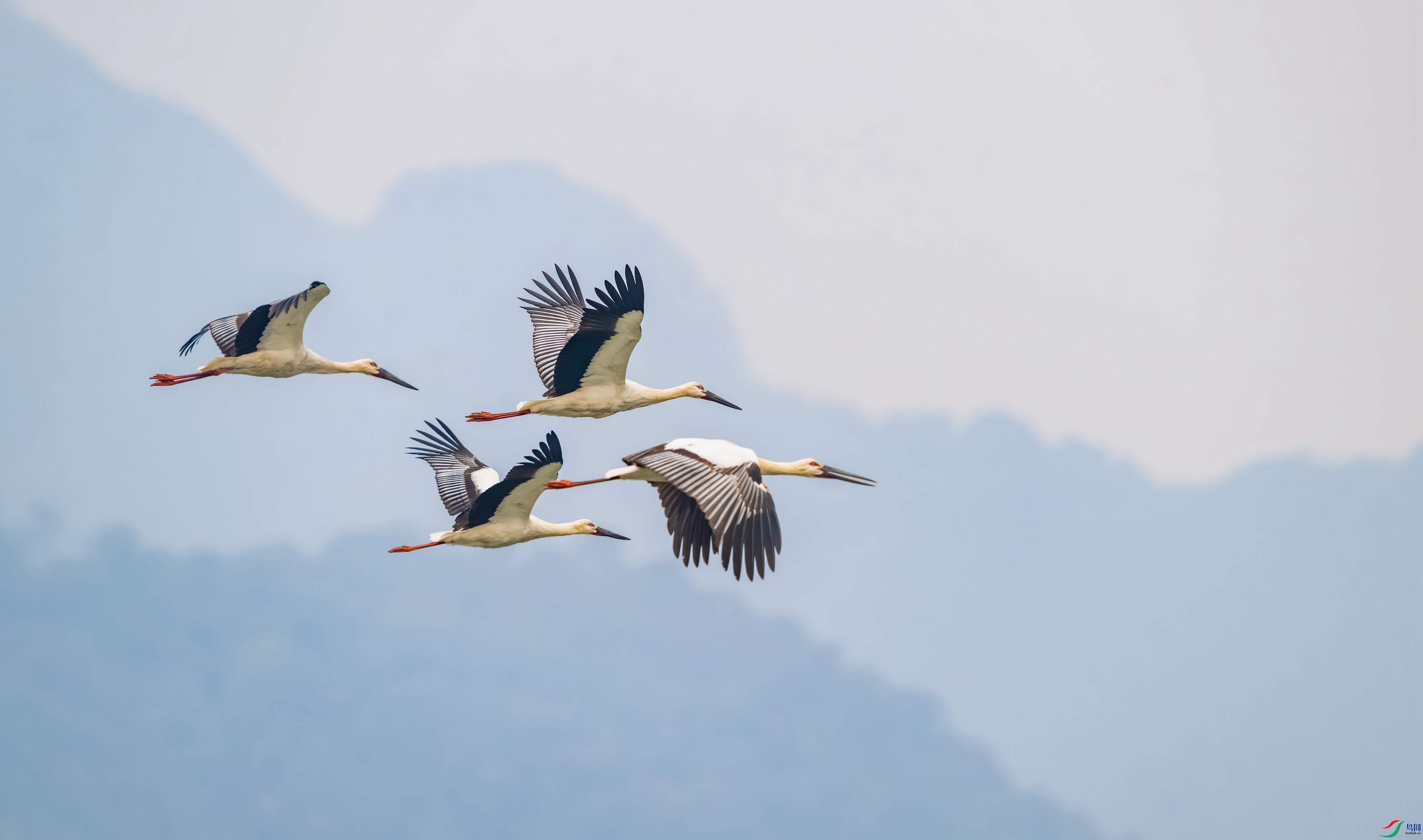 _DSC0604-����ǿ-NR_1 - ����.JPG