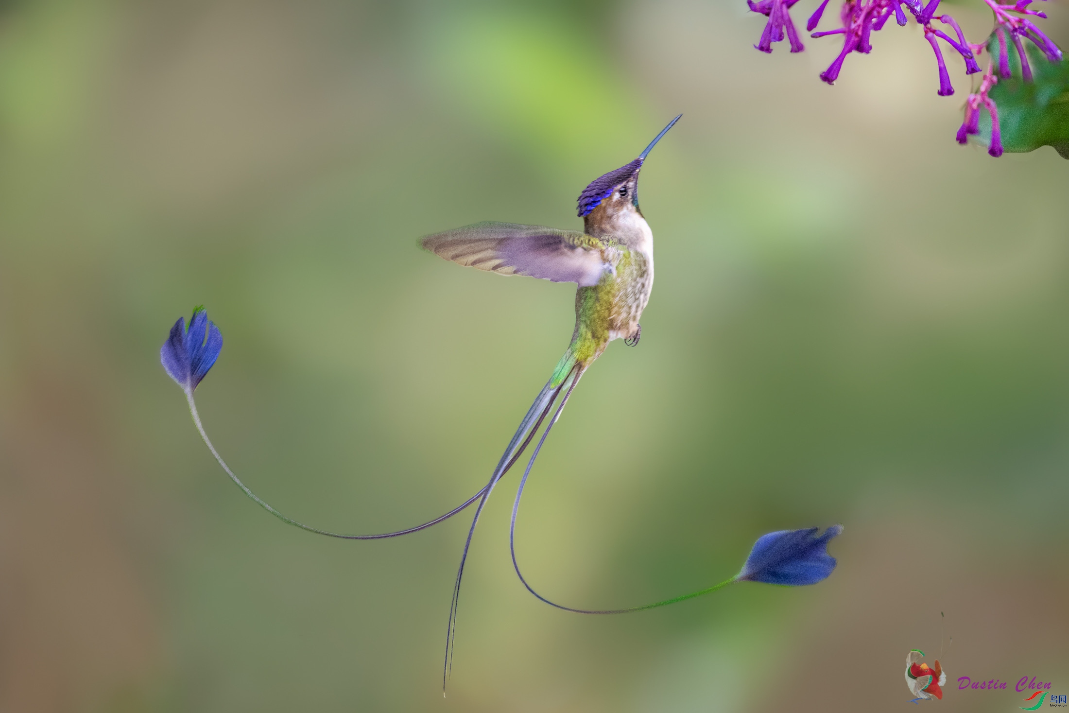 ����β���� ��³�����ֱ�Σ