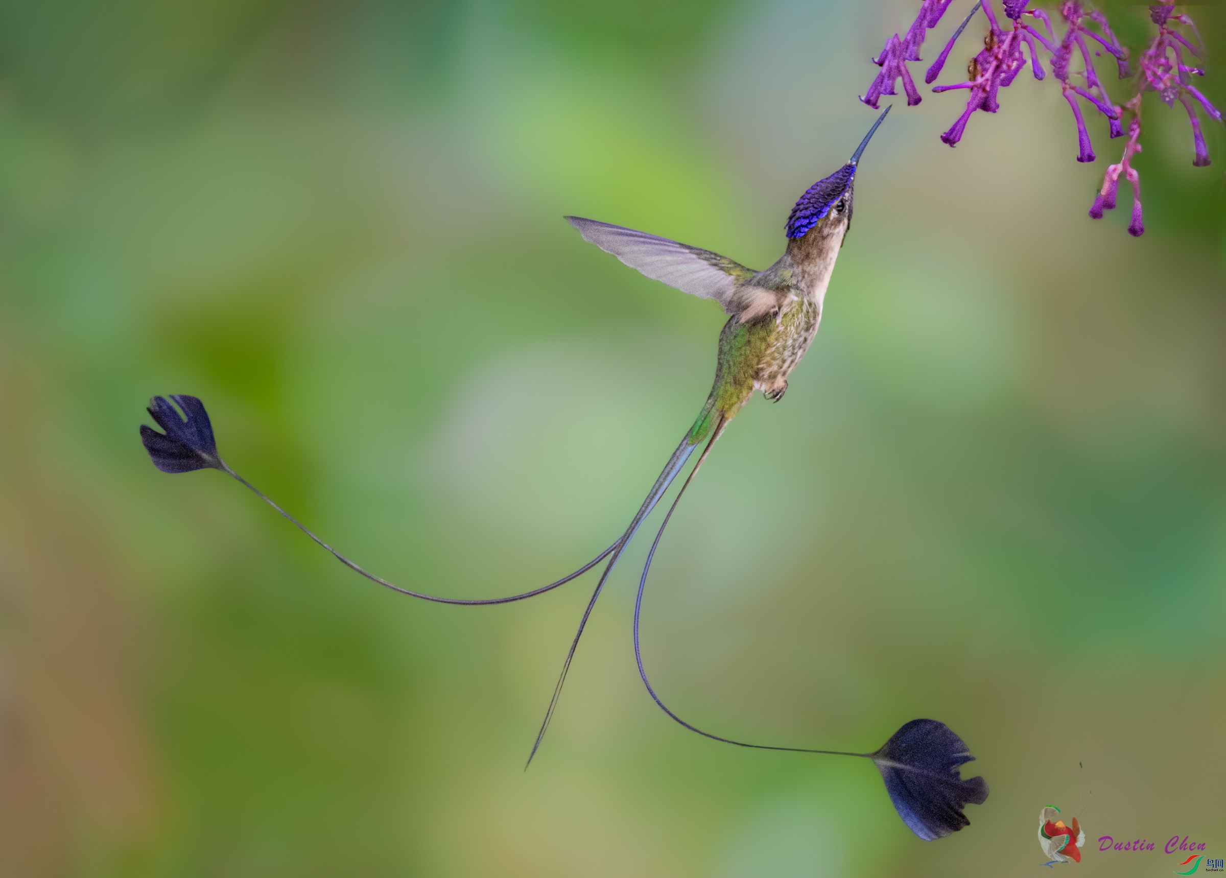 ����β���� ��³�����ֱ�Σ